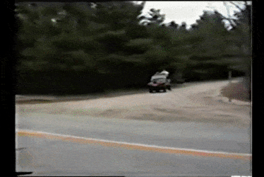 DapperGraciousHammerheadshark-max-1mb.gif