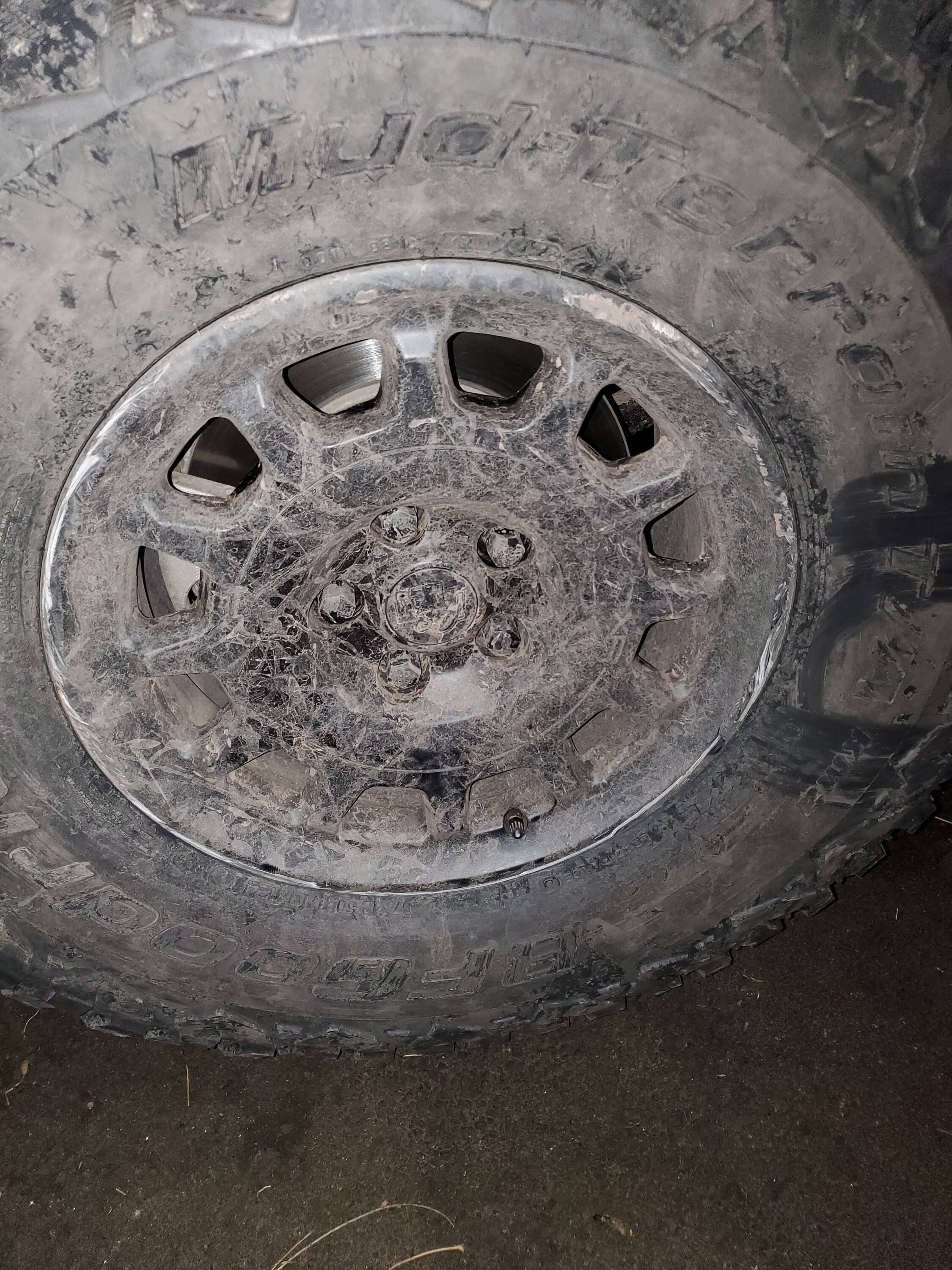 Jeep Wrangler JL What do you use on your tires? 20230311_192452