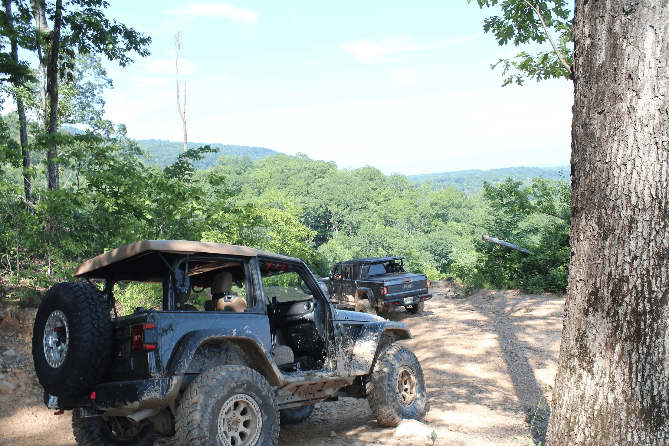 Jeep Wrangler JL '22 JLR 2.0T build progress/wheeling thread 1690816451626