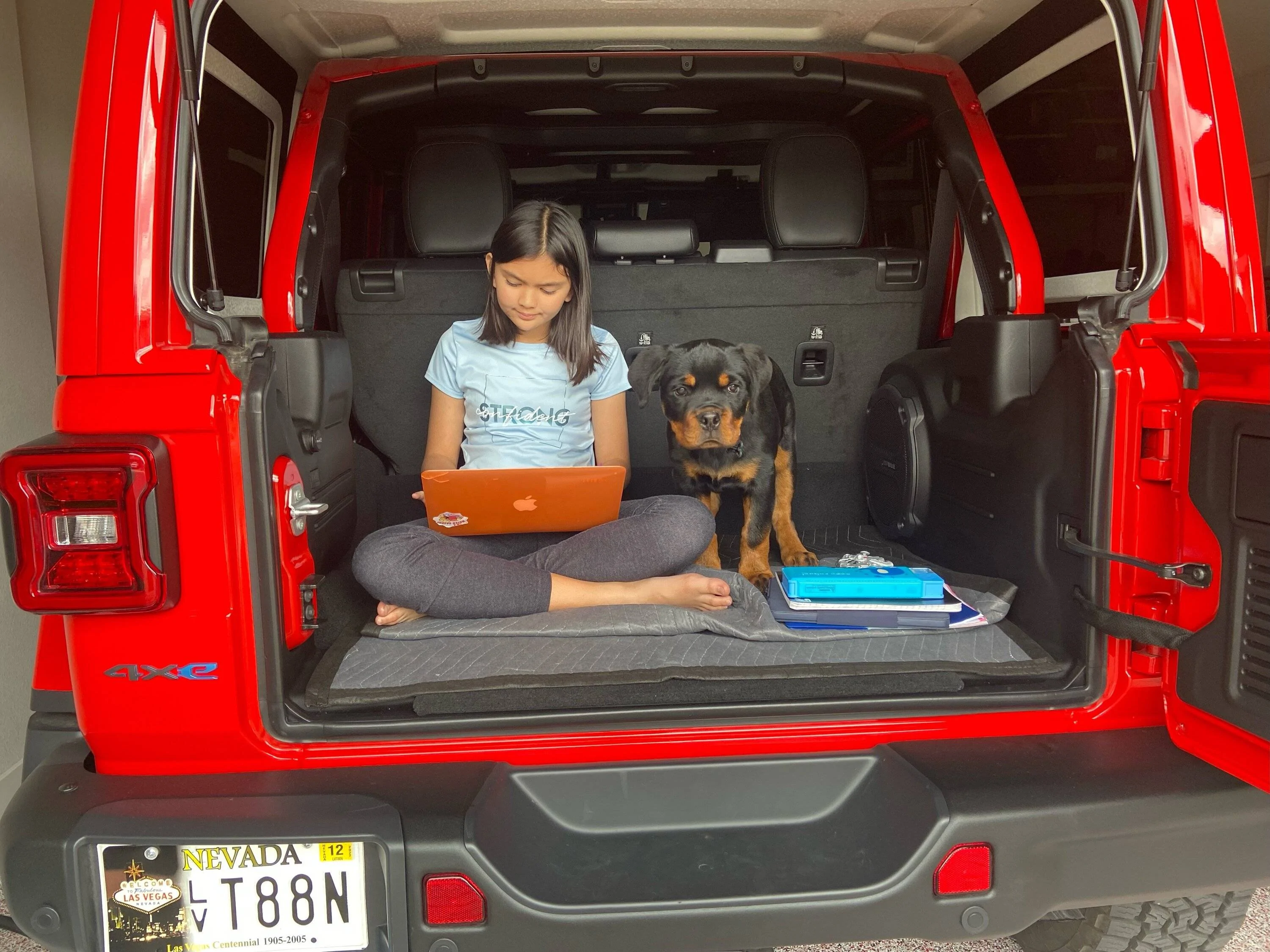 Jeep Wrangler JL Jeep Dog pics IMG_1456