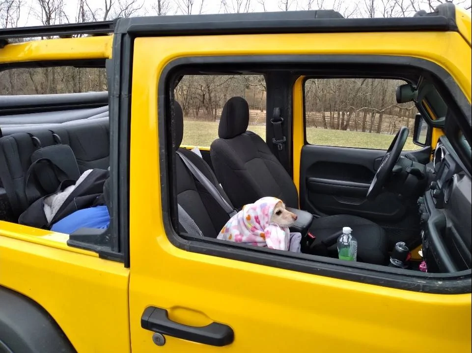 Jeep Wrangler JL Jeep Dog pics Dora Jeep (3)