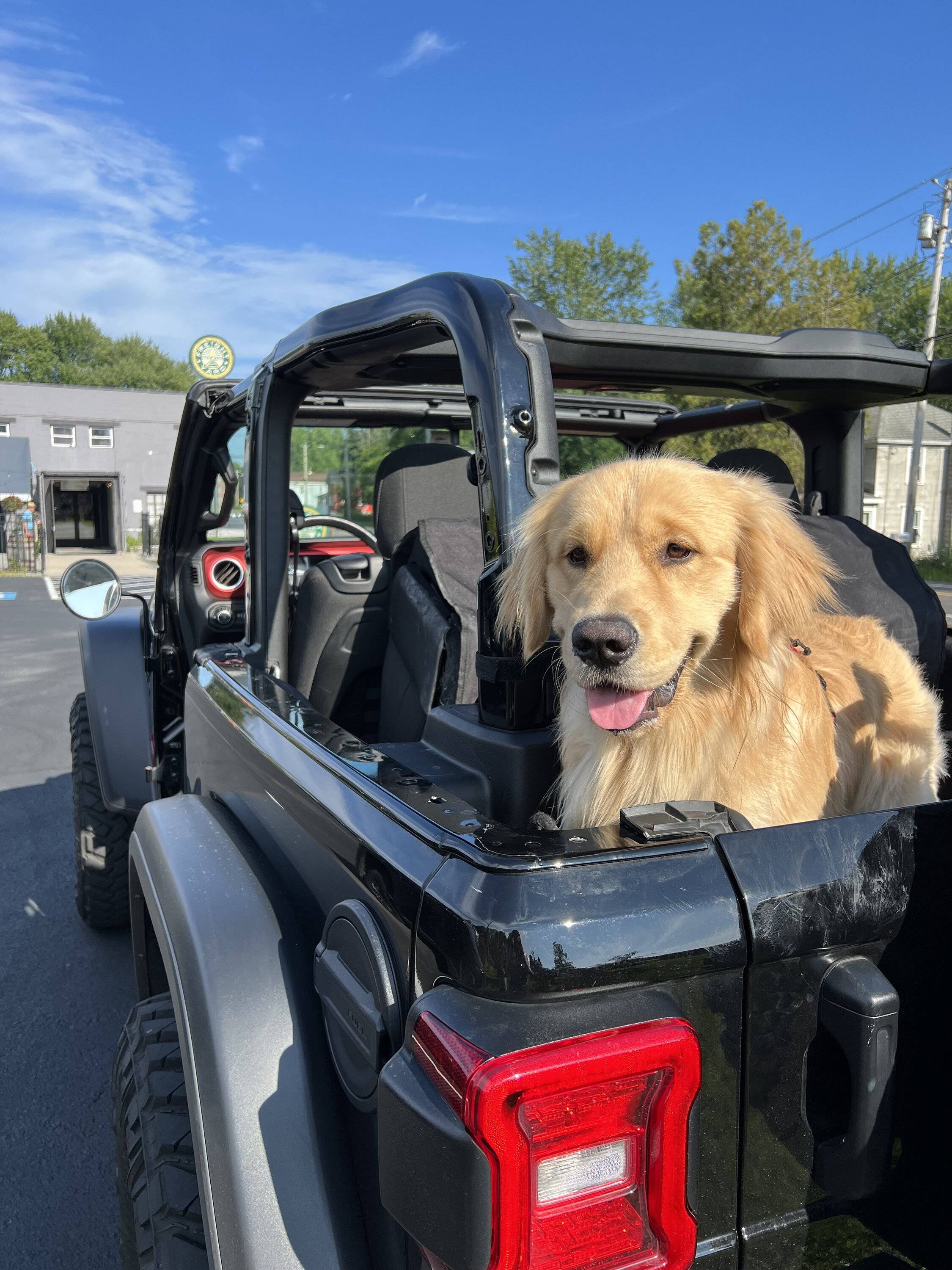 Jeep Wrangler JL Jeep Dog pics IMG_3600