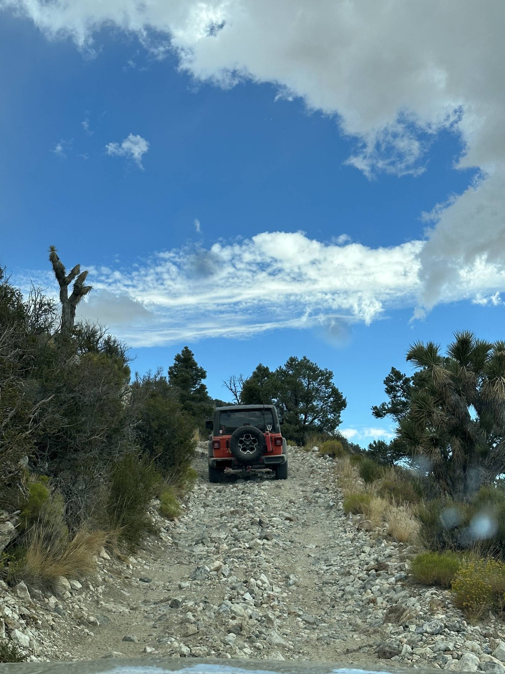 Jeep Wrangler JL Looking for easy trail in Big Bear BBECFA66-9454-40FA-923C-BCC0E8822E3D