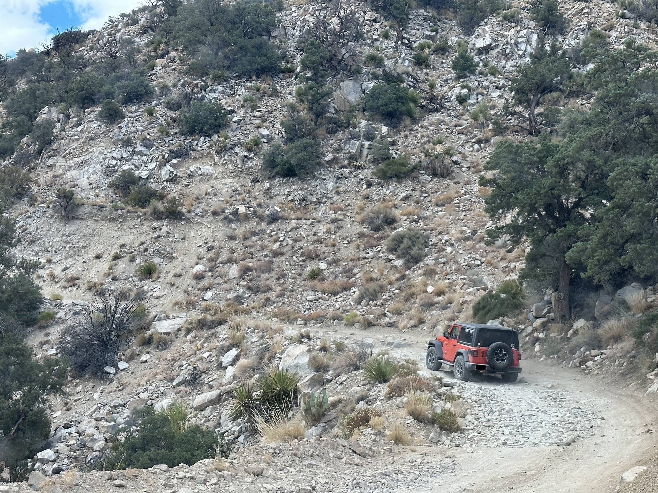 Jeep Wrangler JL Looking for easy trail in Big Bear D637A2B3-0202-4C89-A8A5-119A4644F133