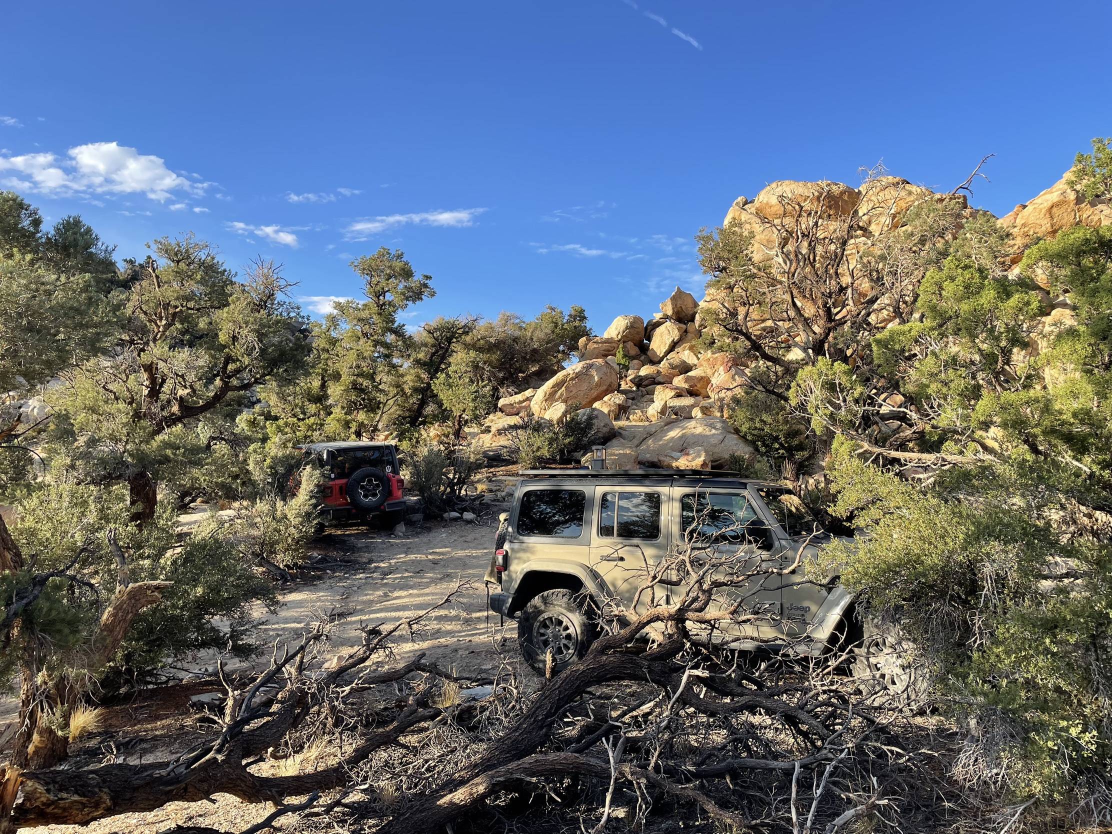 Jeep Wrangler JL Looking for easy trail in Big Bear F595FF54-DE4F-4FFA-96C9-B810C172E9B1