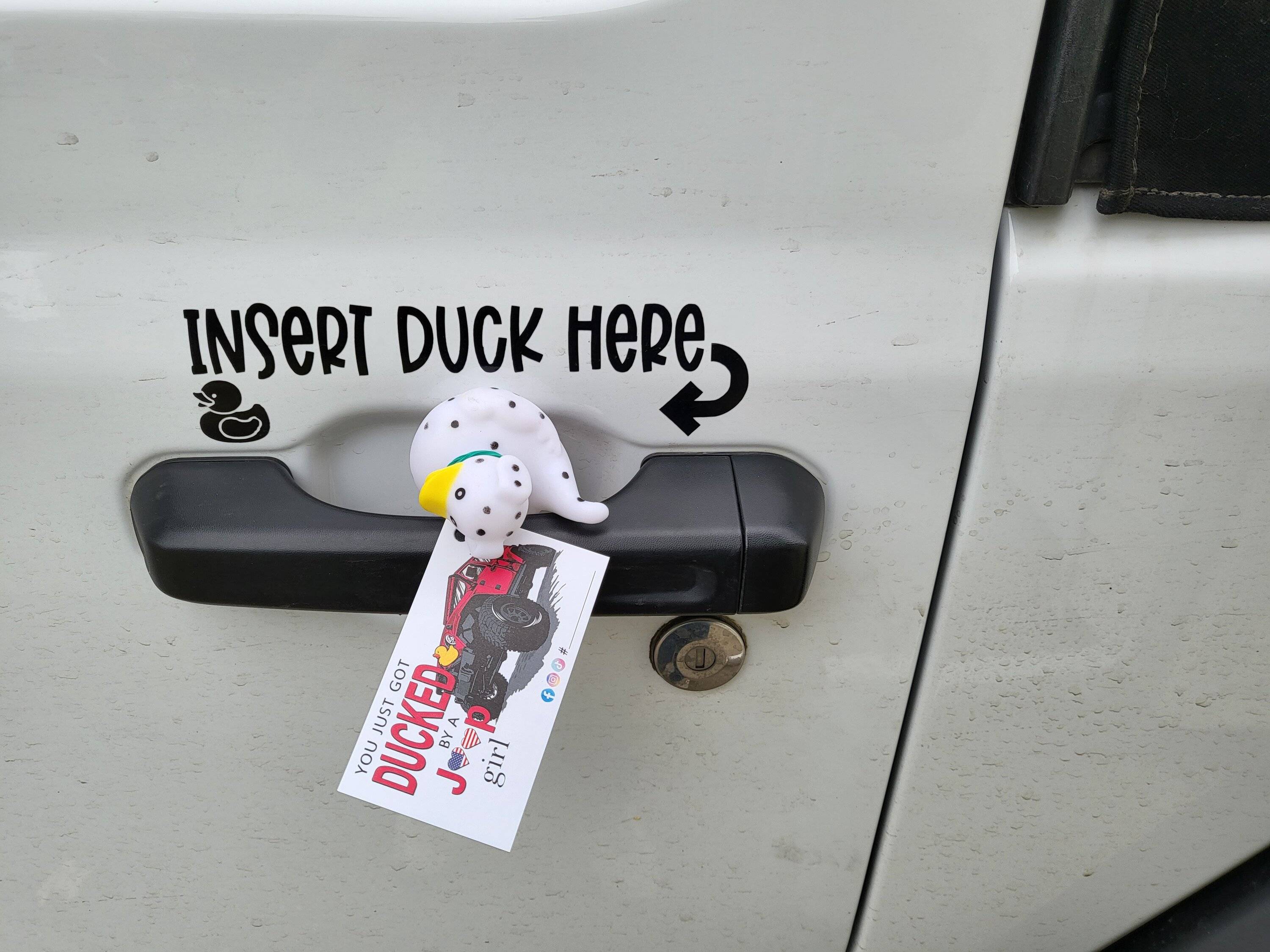 Jeep Wrangler JL Got Ducked!!!!! Duck4