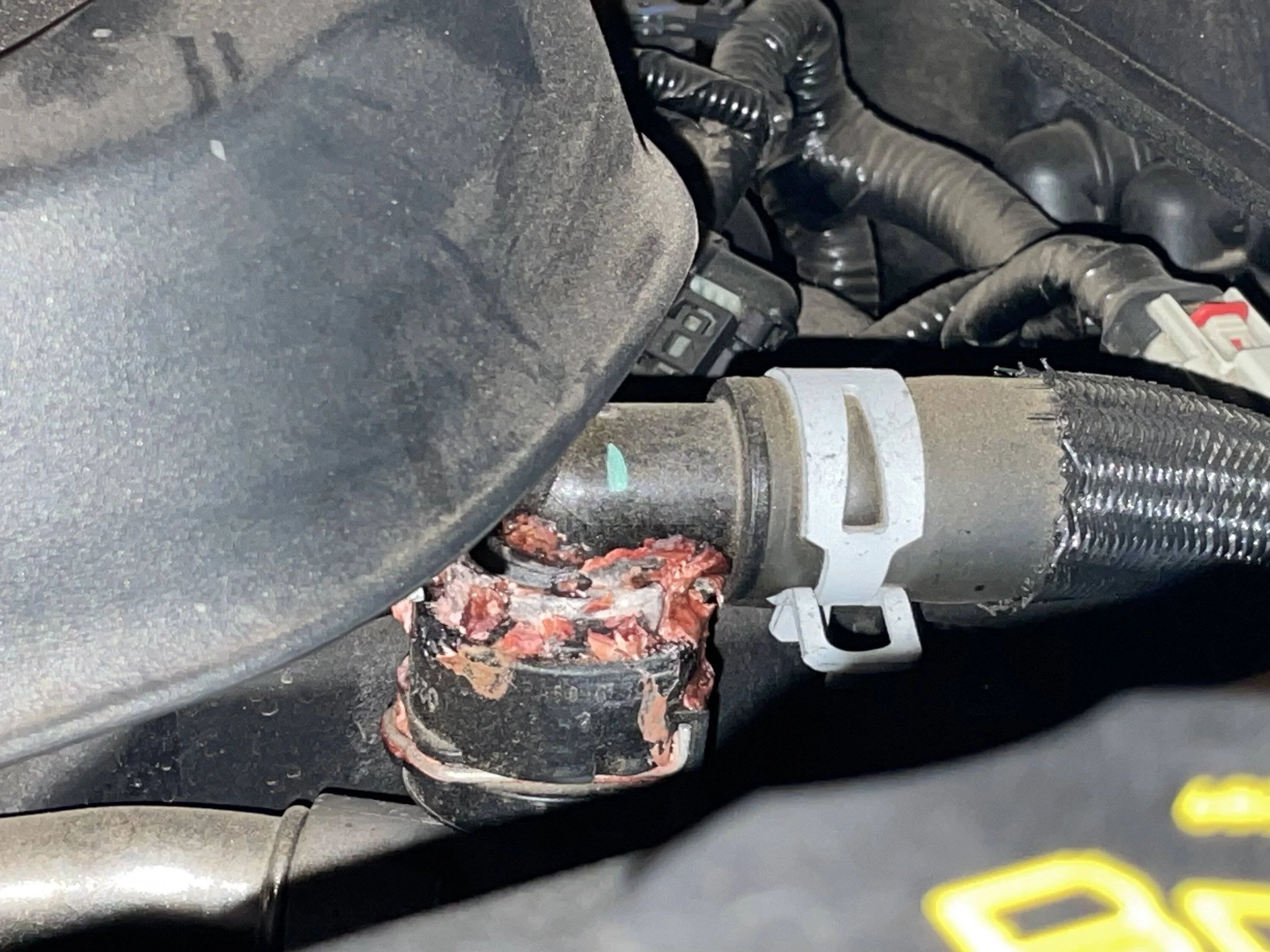 Jeep Wrangler JL Coolant leak , TSB for 2.0 IMG_1429