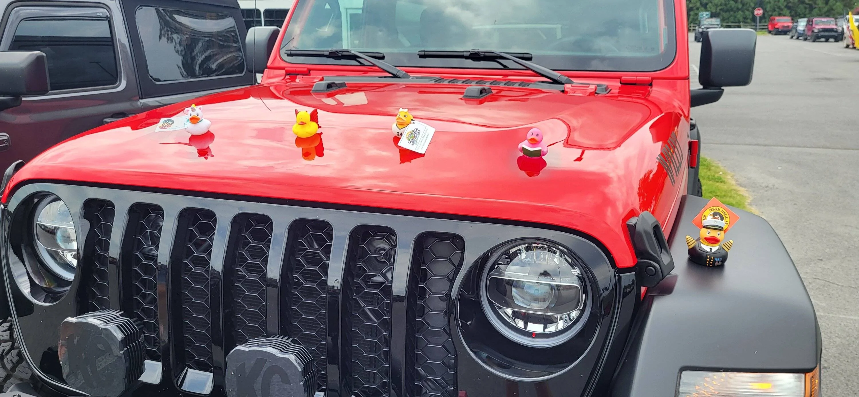 Jeep Wrangler JL GSMJCI ! 20230824_132247