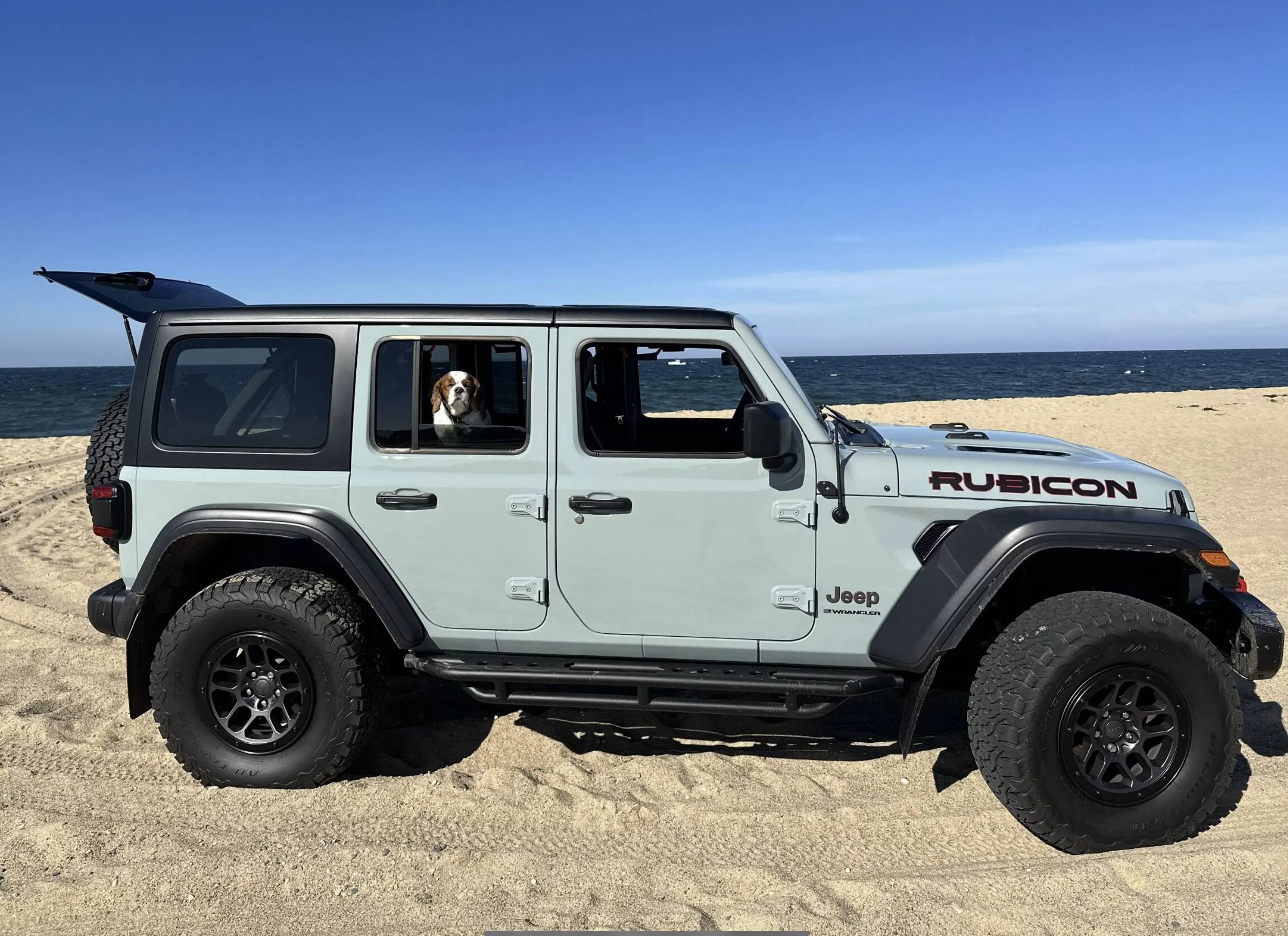 Jeep Wrangler JL Jeep Dog pics IMG_0183