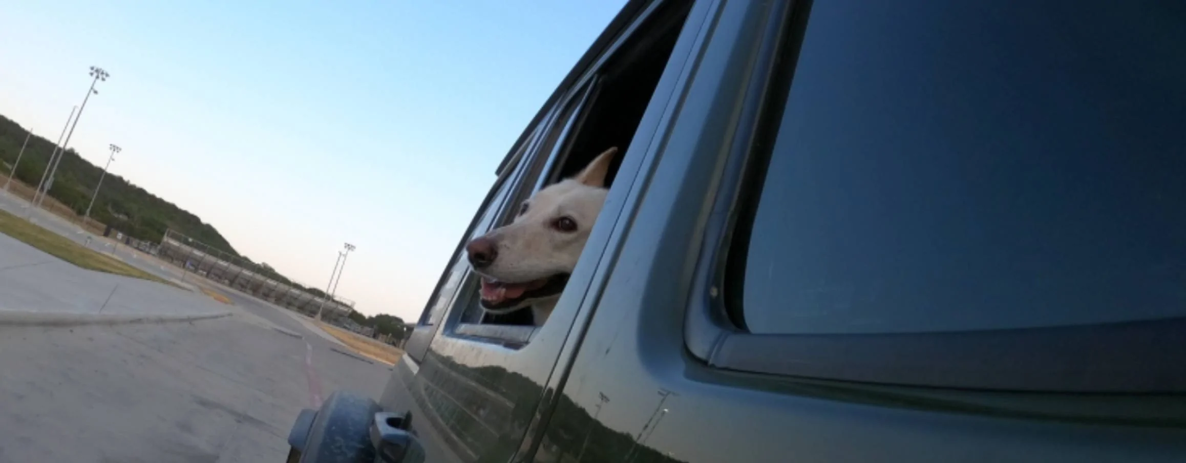 Jeep Wrangler JL Jeep Dog pics Screenshot_20230826_200600_GoPro Quik