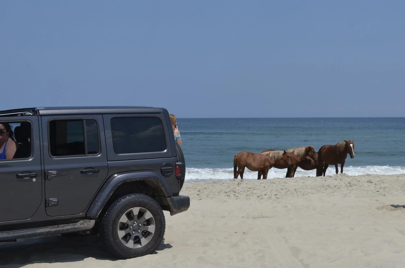 Jeep Wrangler JL North Carolina Roll Call D1D84700-7F67-4B2F-8625-24F7B534AAA2