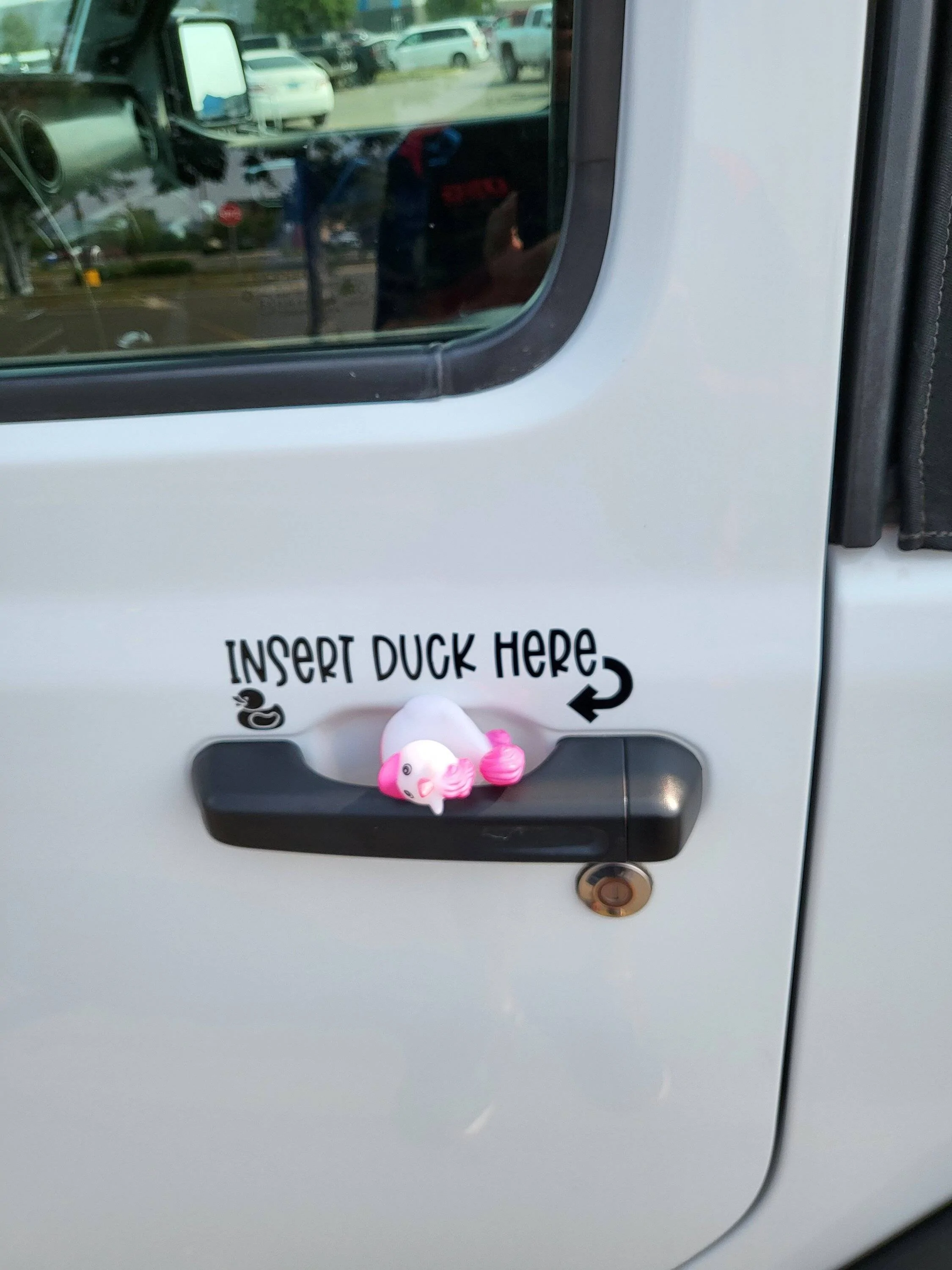 Jeep Wrangler JL Got Ducked!!!!! Duck5