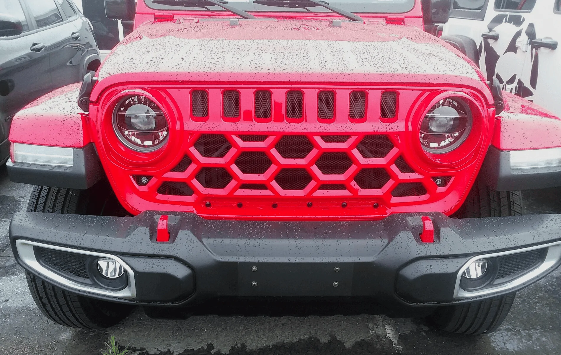 Jeep Wrangler JL Angry Grill step brother? 1693502253949
