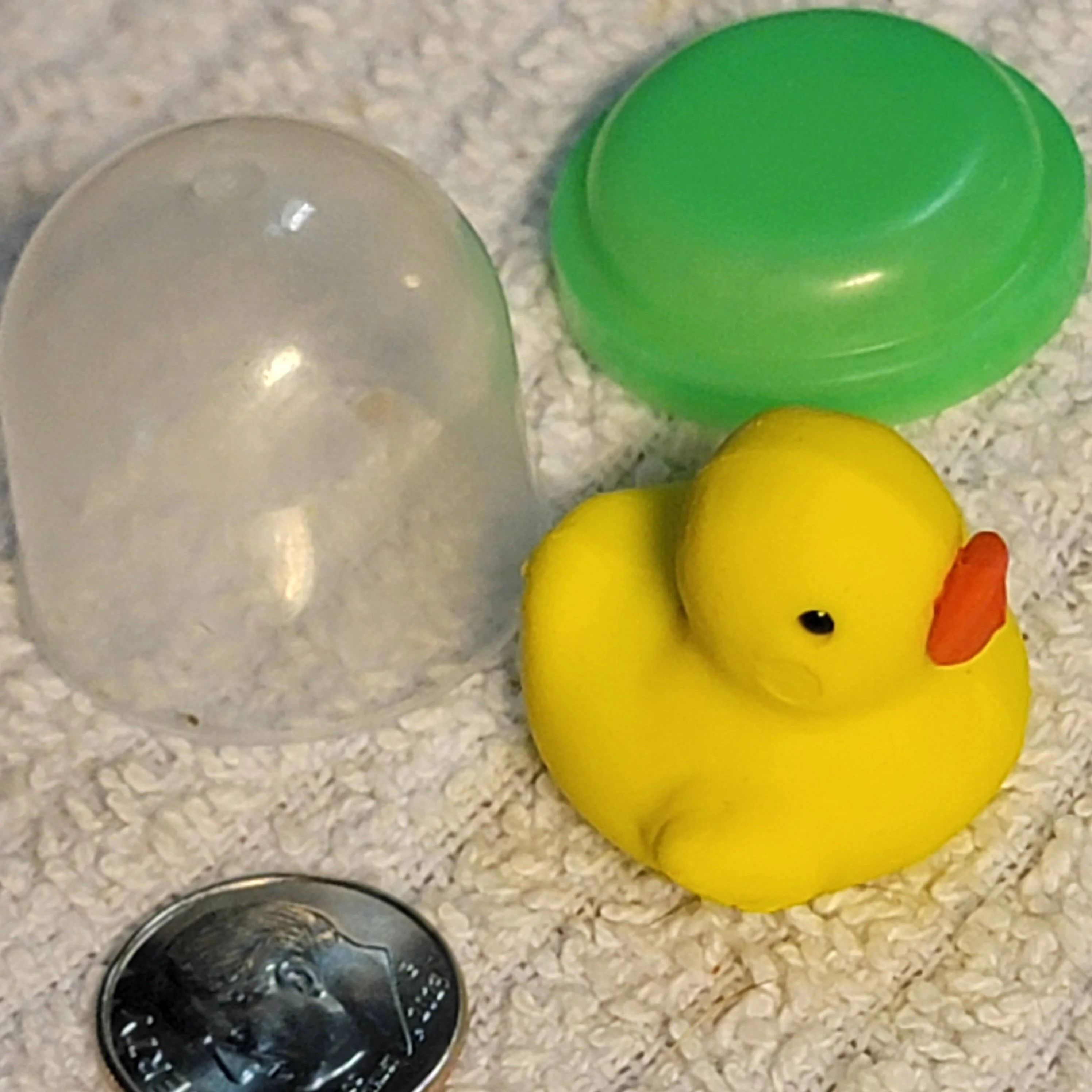 Jeep Wrangler JL Smallest DUCK? 20230903_150031