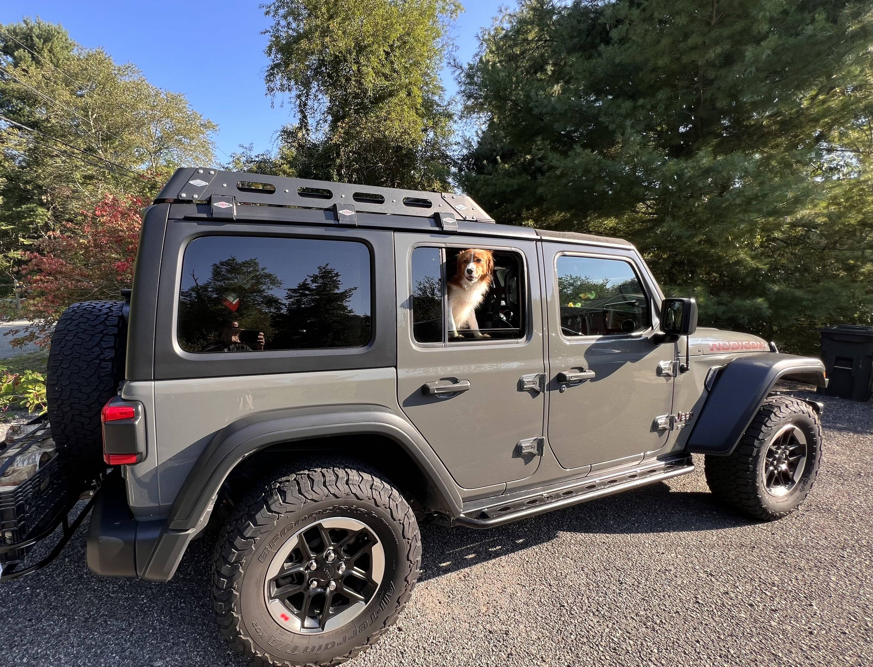 Jeep Wrangler JL Jeep Dog pics IMG_1484