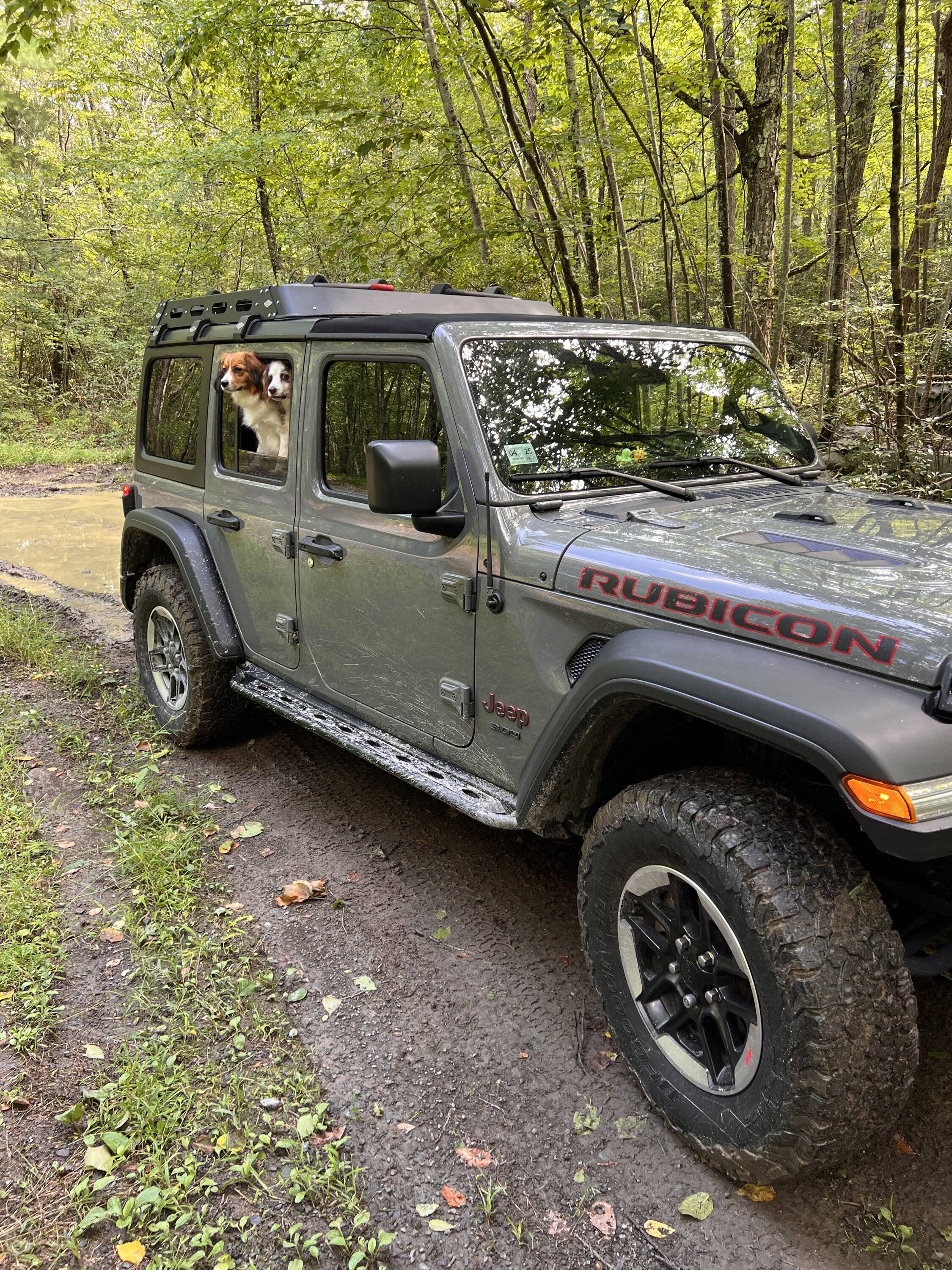 Jeep Wrangler JL Jeep Dog pics IMG_1496