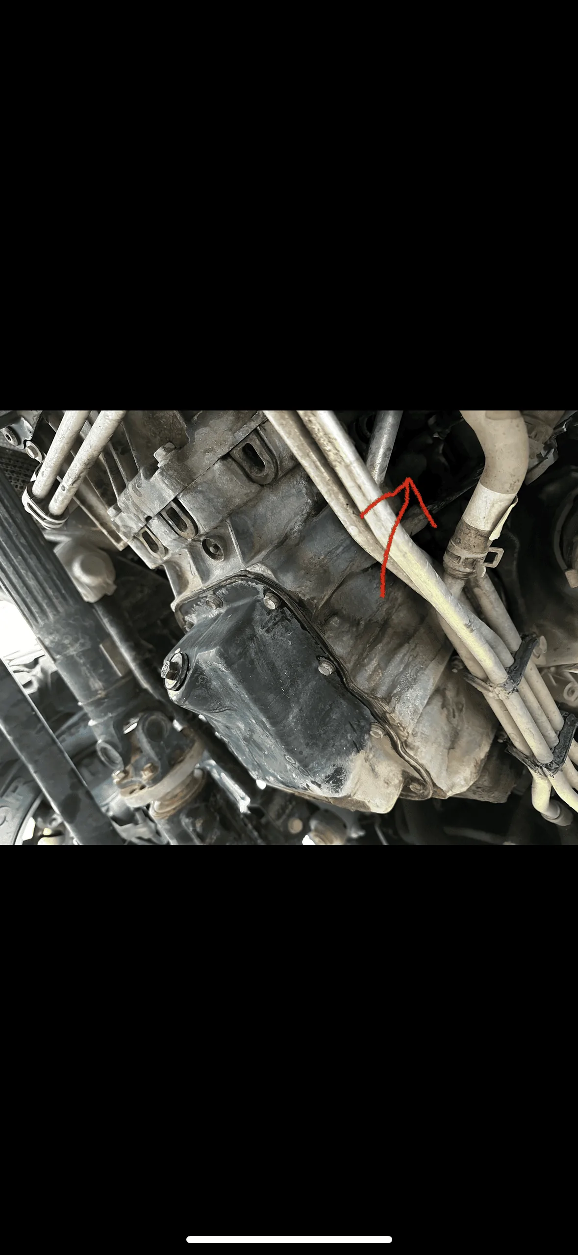 Jeep Wrangler JL Possible rear main leak? IMG_0411