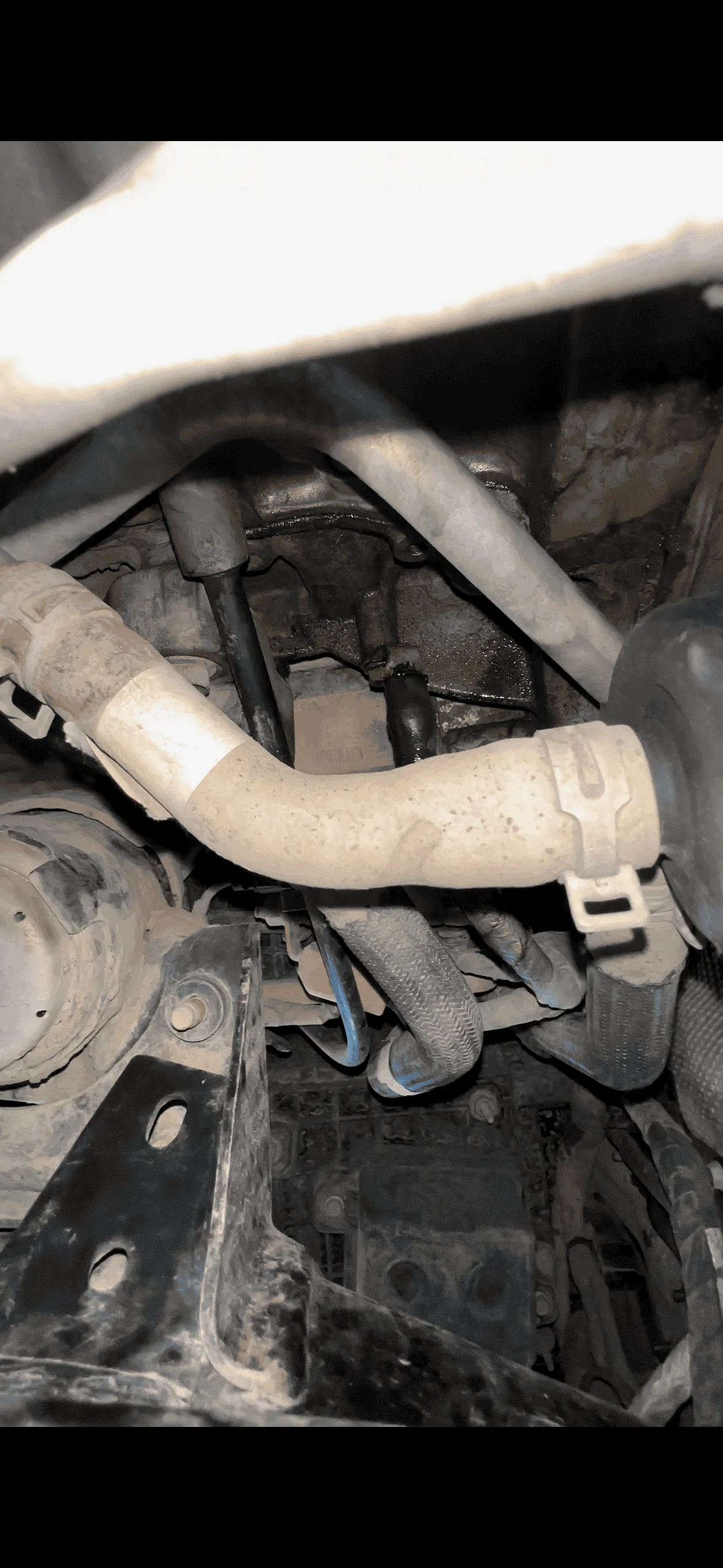 Jeep Wrangler JL Possible rear main leak? IMG_0410