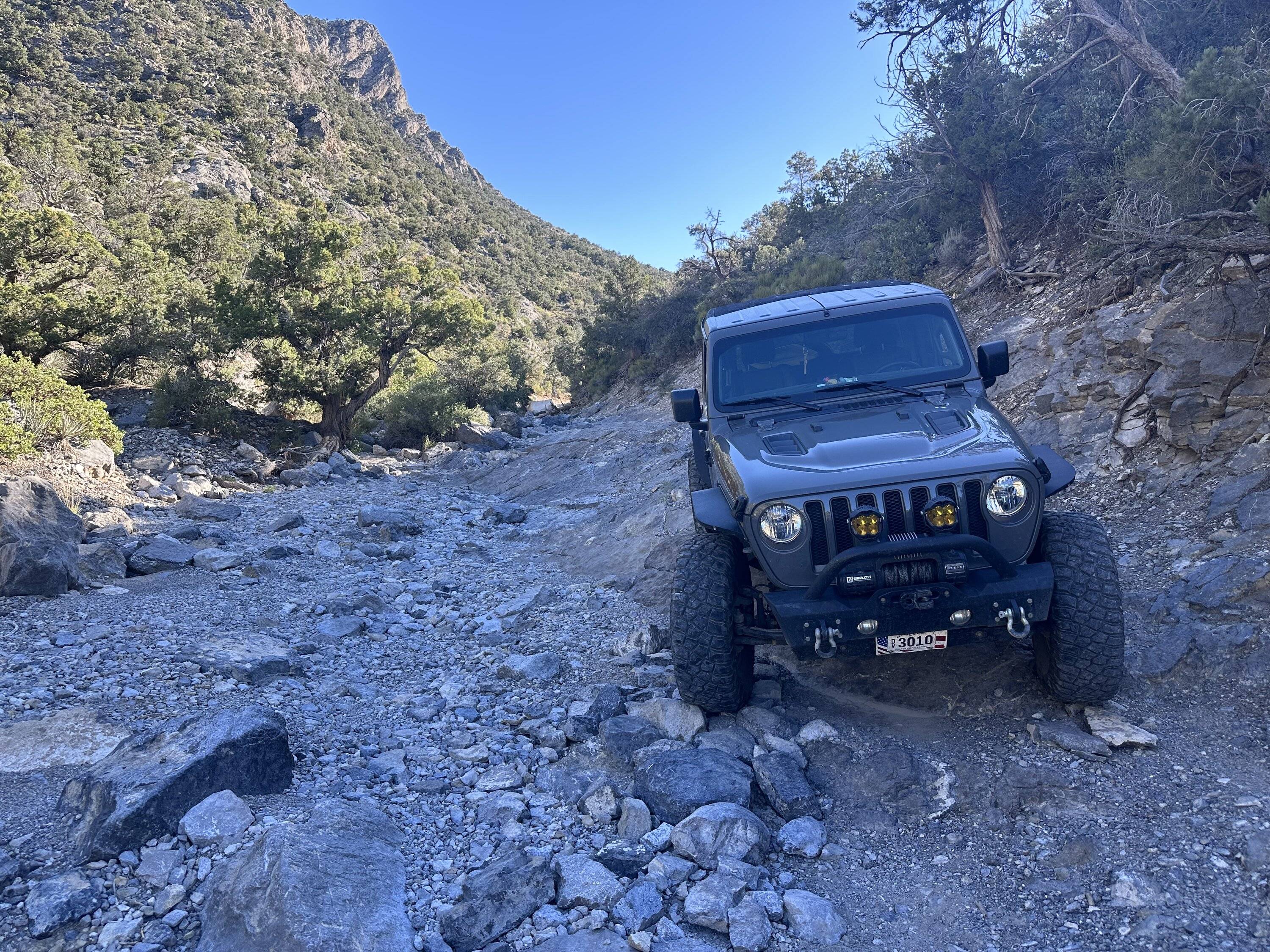 Jeep Wrangler JL Backordered! IMG_2274