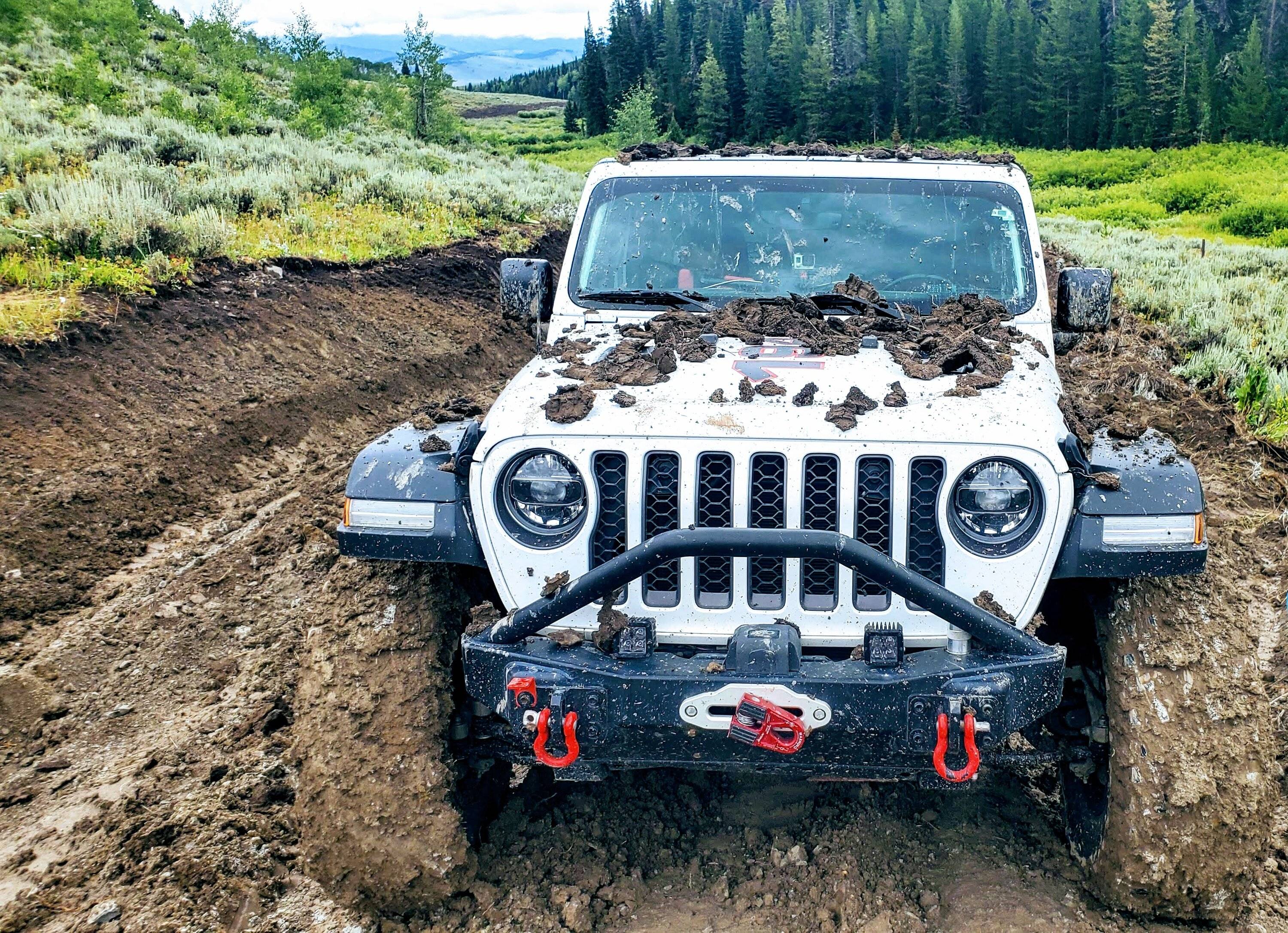 Jeep Wrangler JL WY & MT BOH Trails 20200728_123135