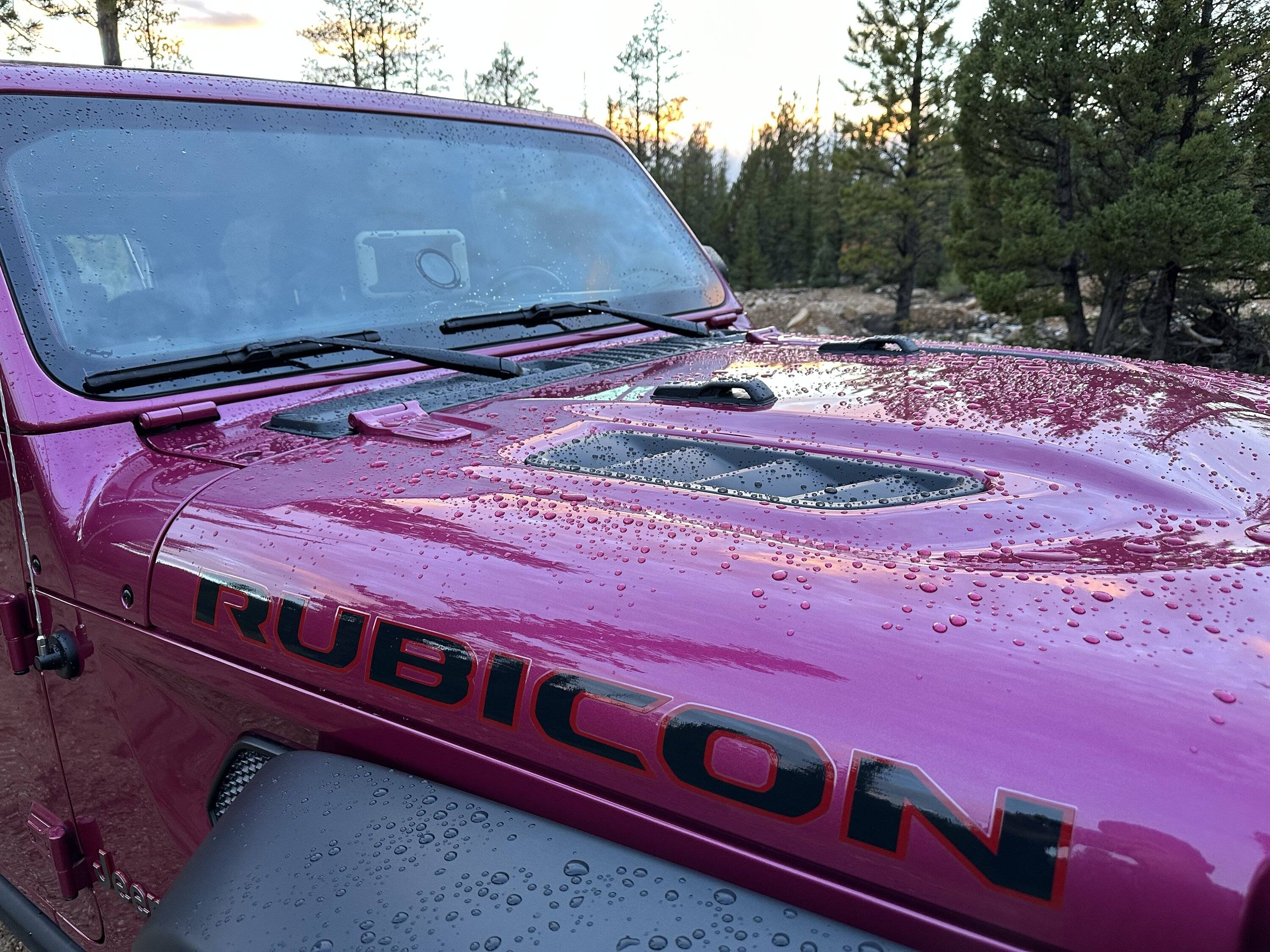 Jeep Wrangler JL Bikini Color differences IMG_2016