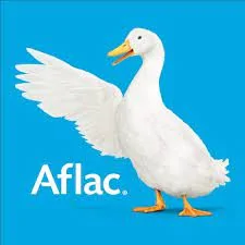 Jeep Wrangler JL Dux Sux!!! aflac