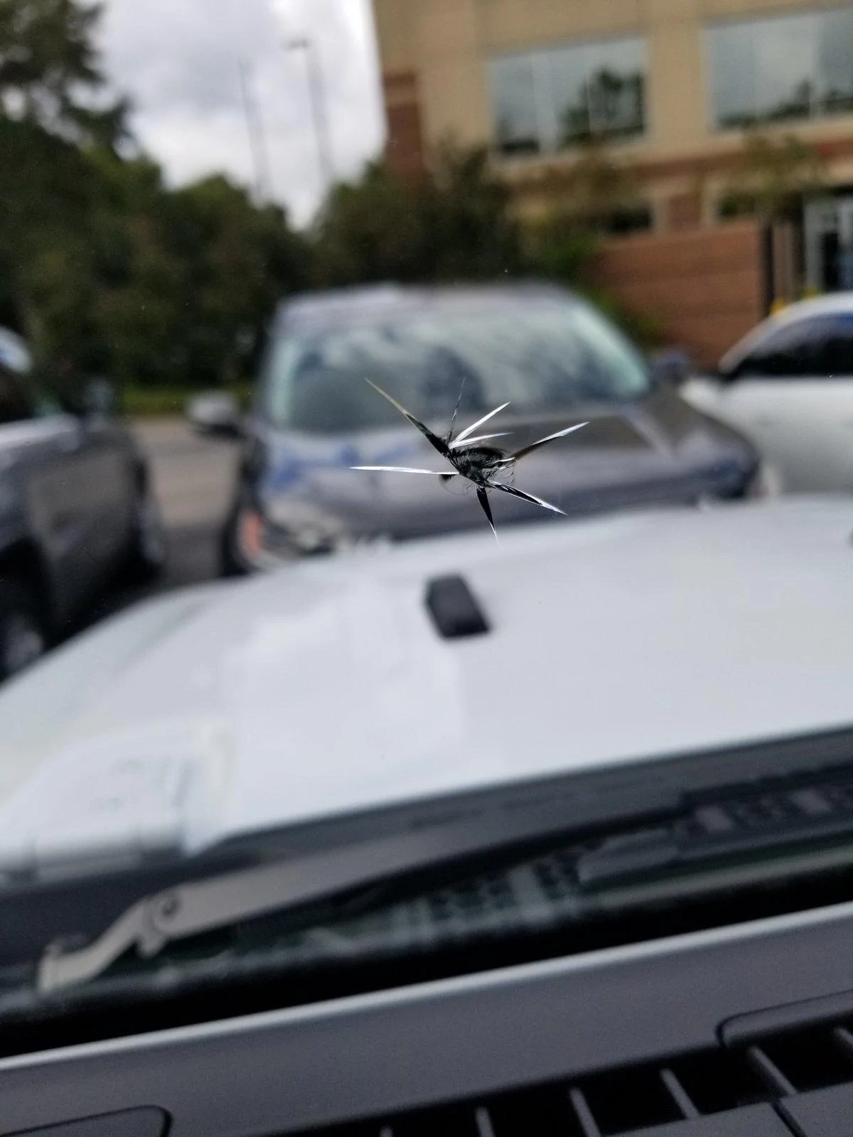 Jeep Wrangler JL Cracked Windshield Club 20180822_102155