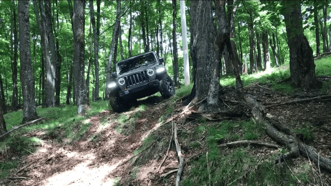 Jeep Wrangler JL Rock the Stock thread Sting Gray woods