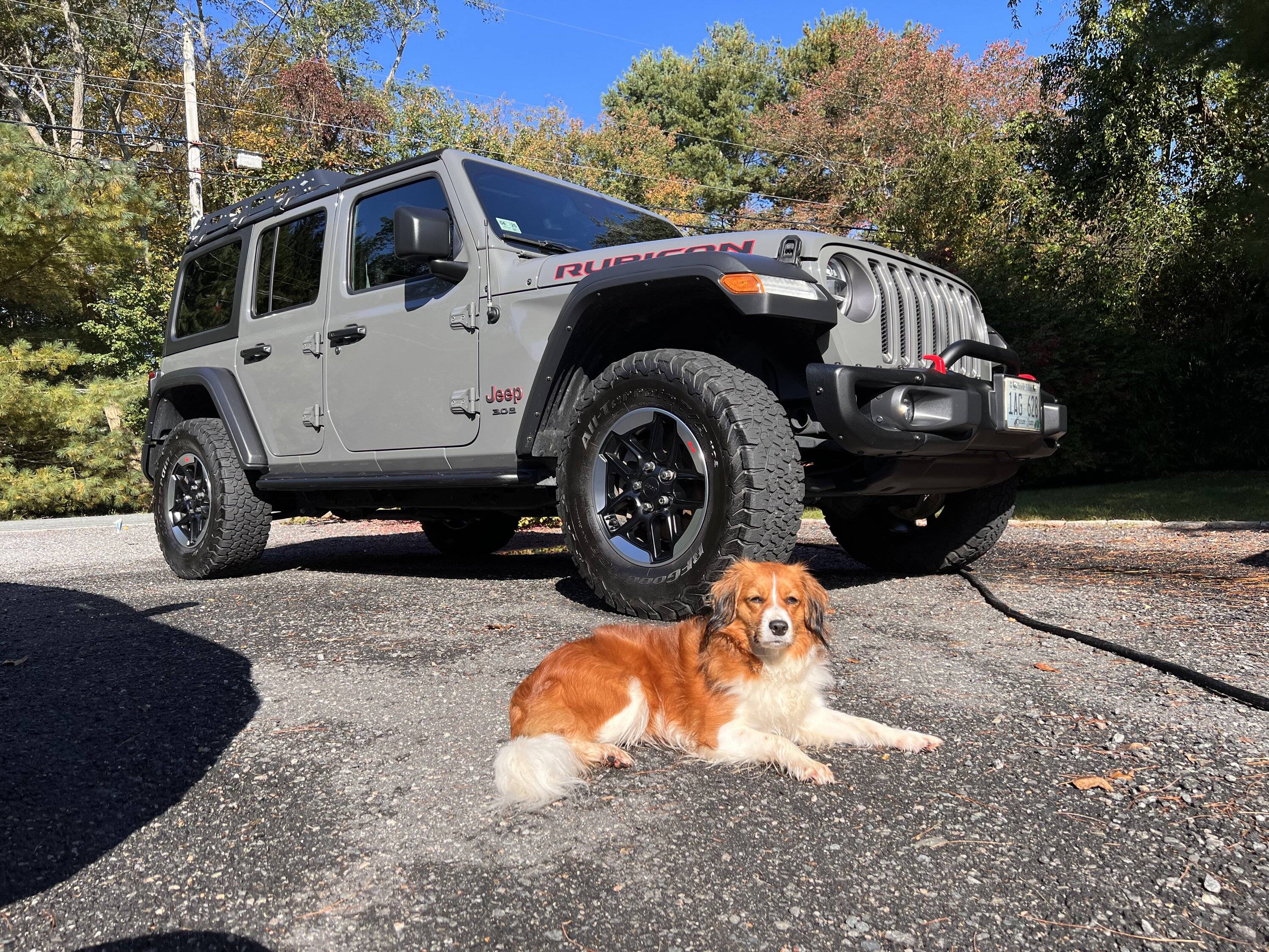 Jeep Wrangler JL Jeep Dog pics IMG_1662