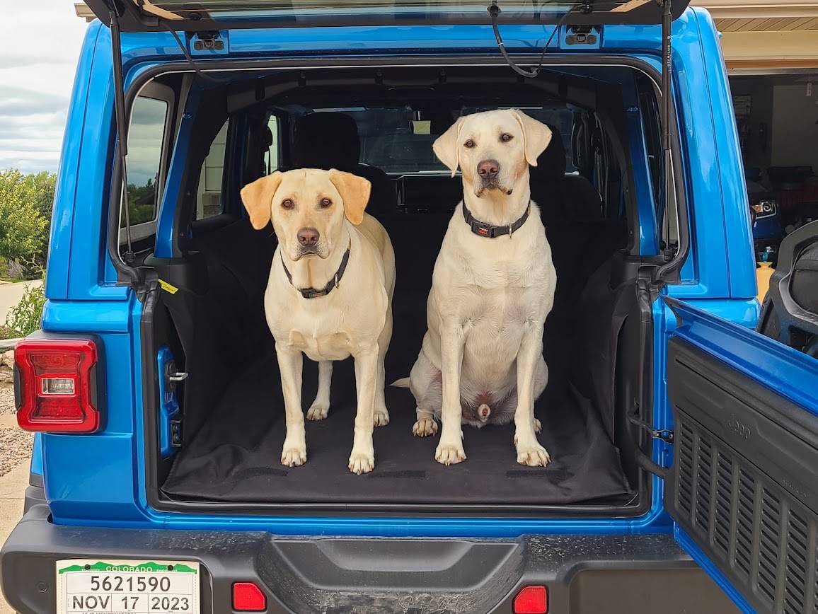 Jeep Wrangler JL Jeep Dog pics 1696552704725