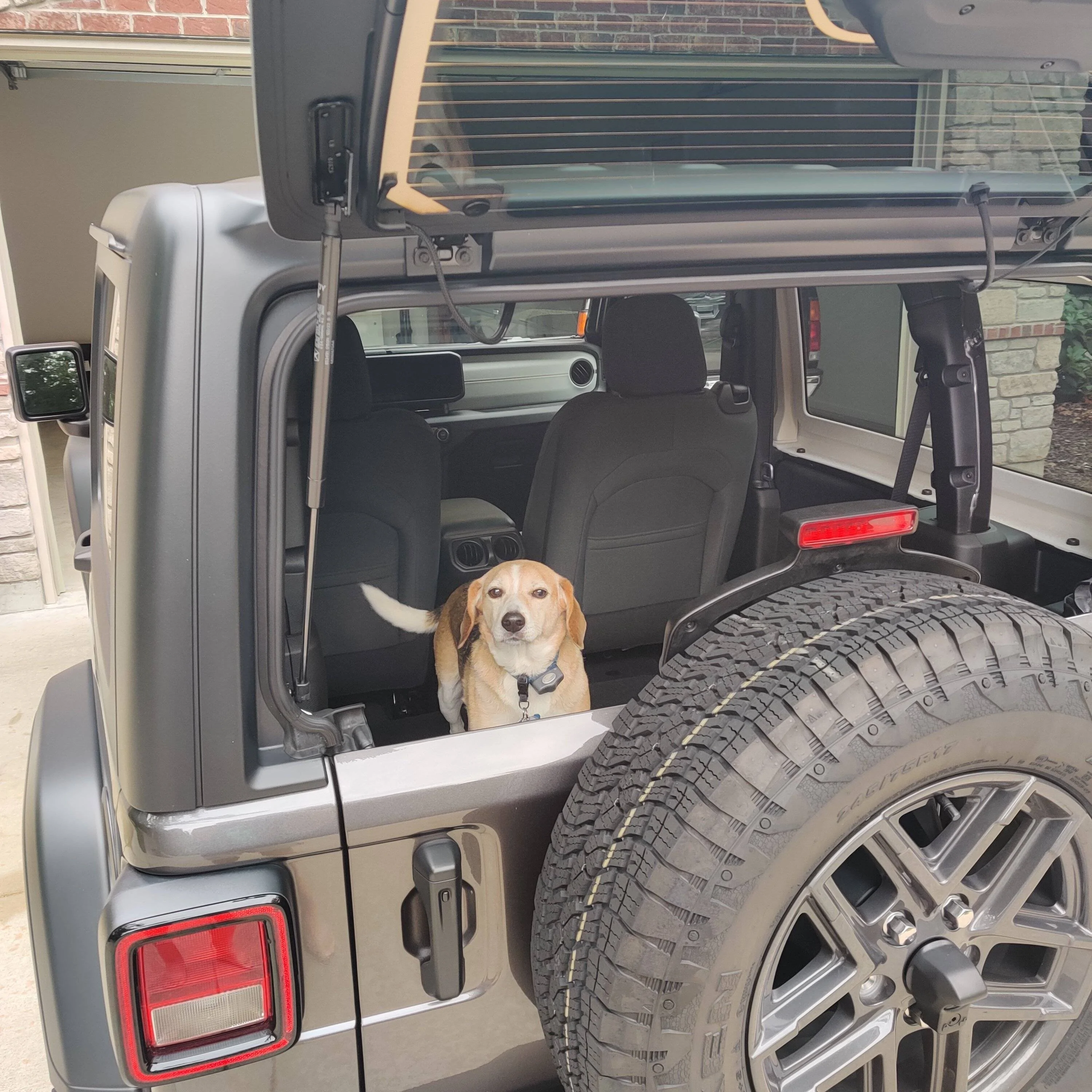 Jeep Wrangler JL Jeep Dog pics IMG_20231004_153448