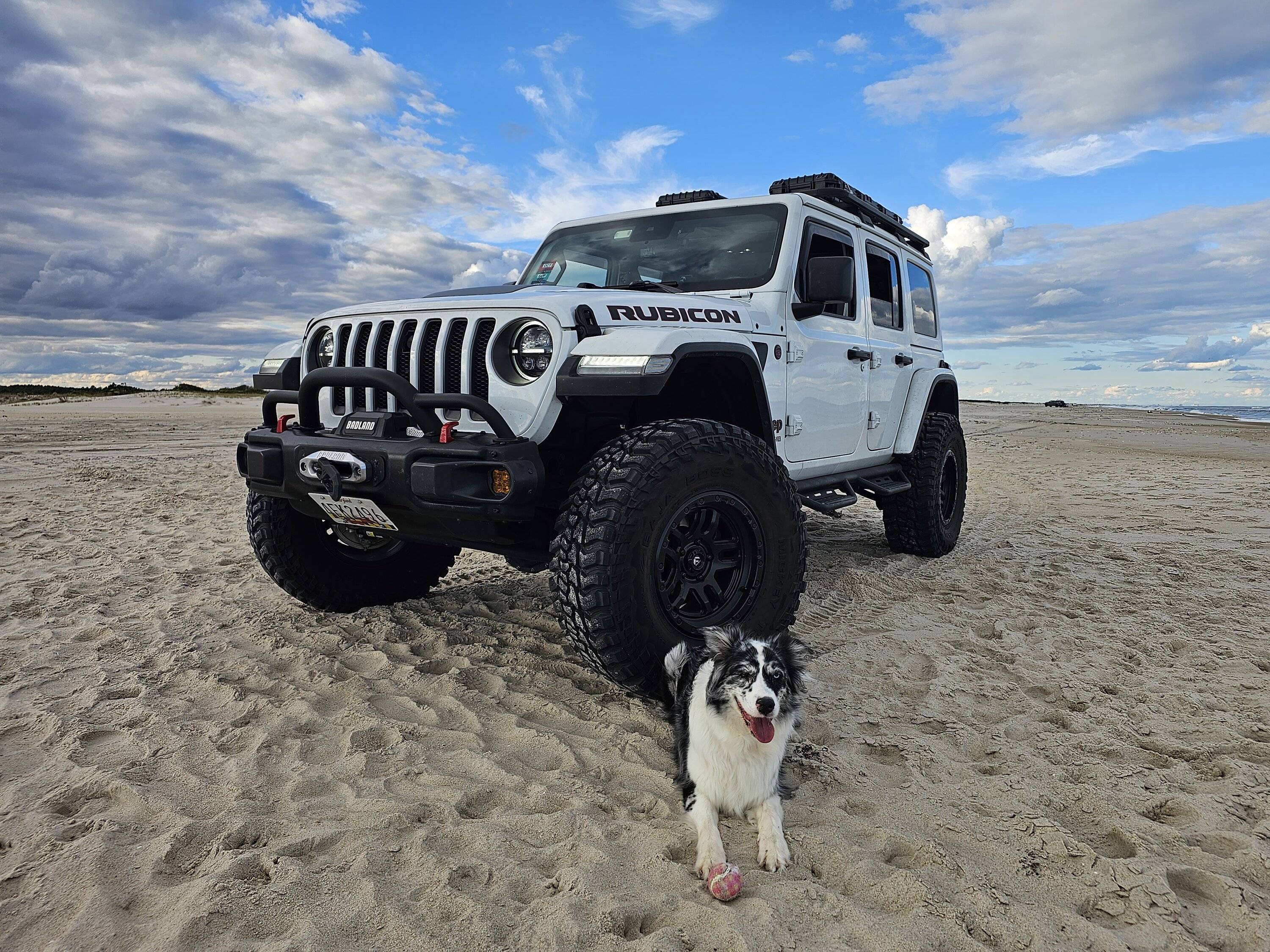Jeep Wrangler JL Jeep Dog pics 20231008_170255