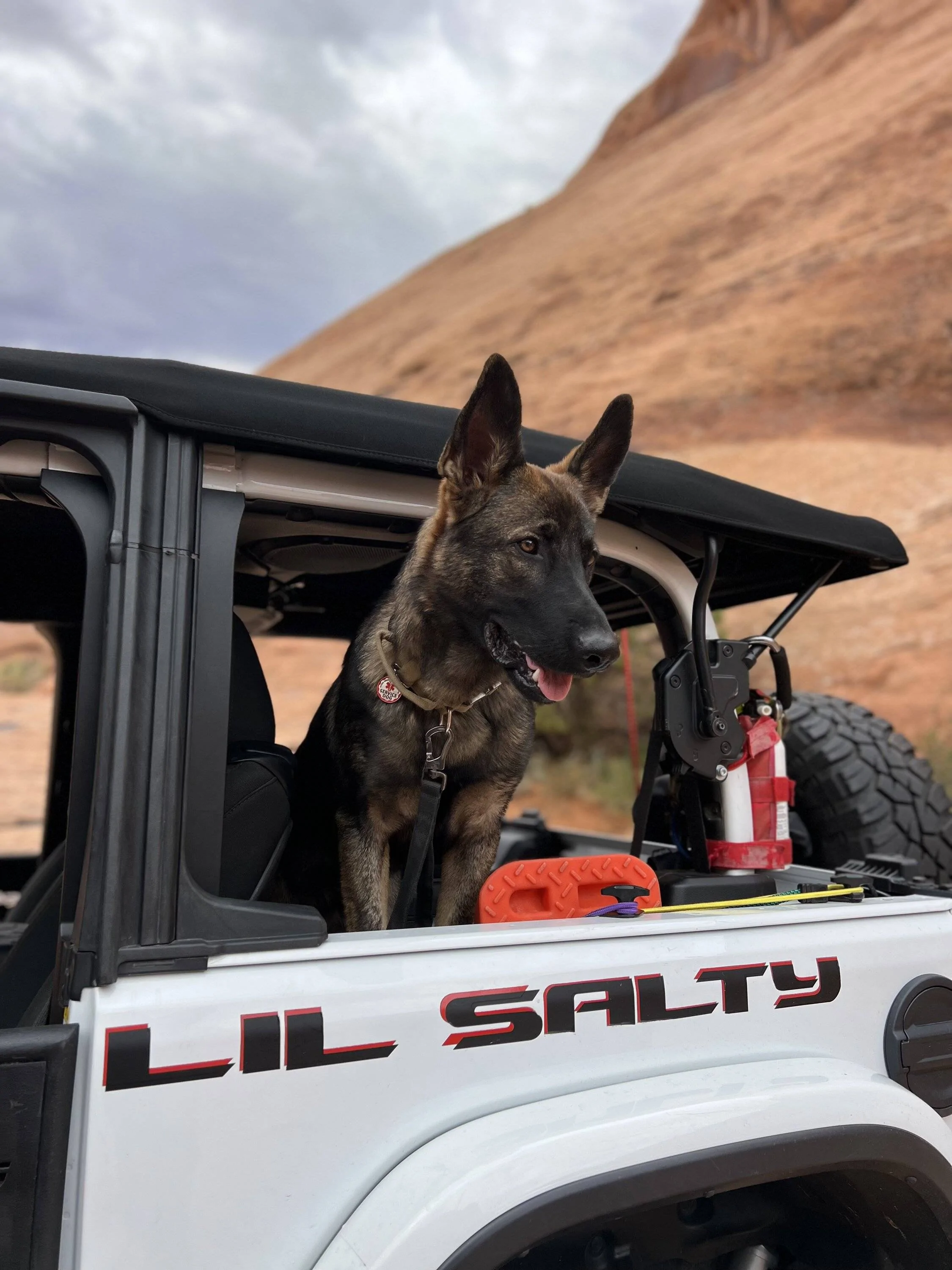 Jeep Wrangler JL Jeep Dog pics Photo_Sep_18_2023,_11_32_29_AM[1]