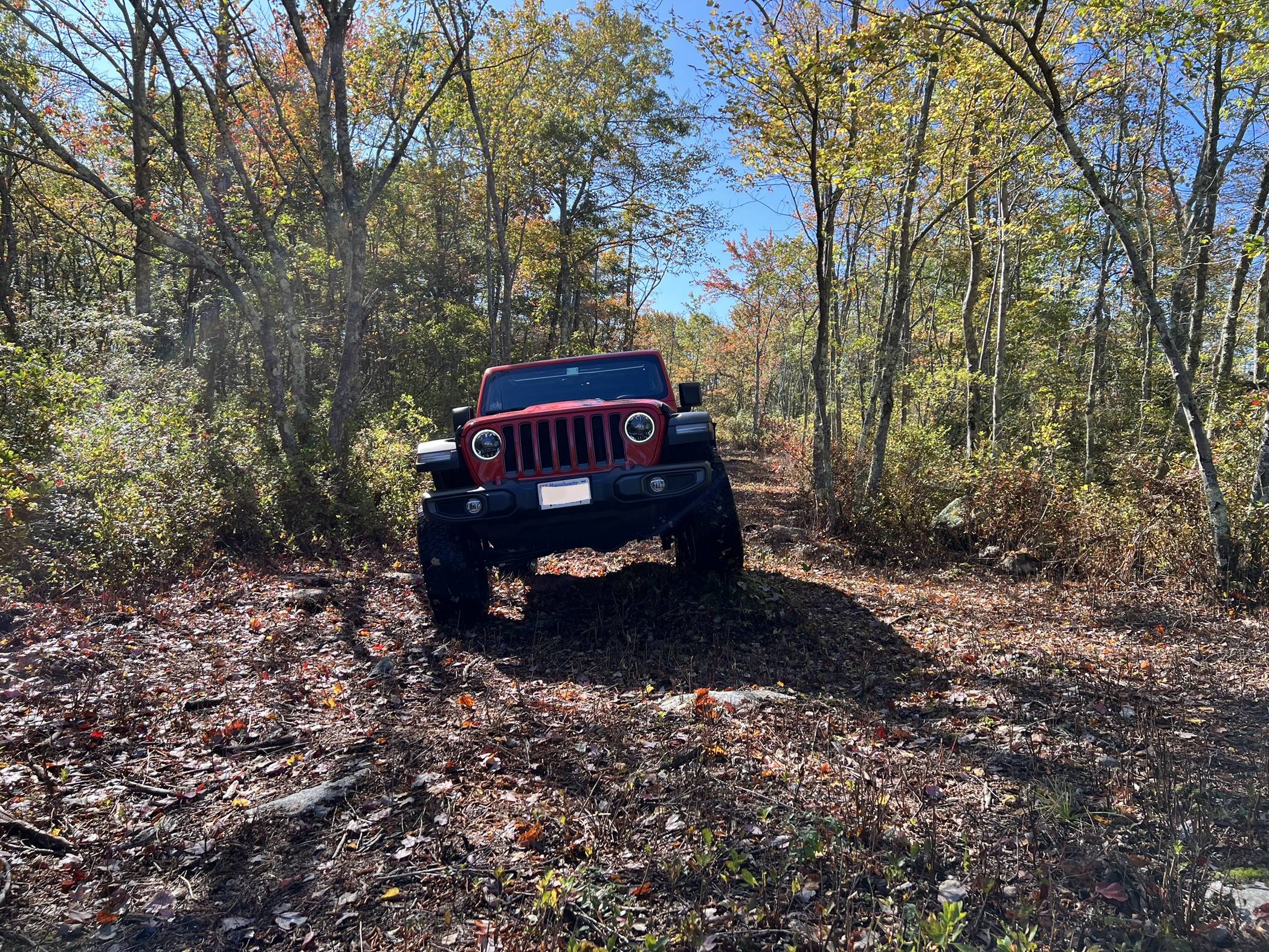 Jeep Wrangler JL Introductions & Welcome Thread 👋 IMG_7027