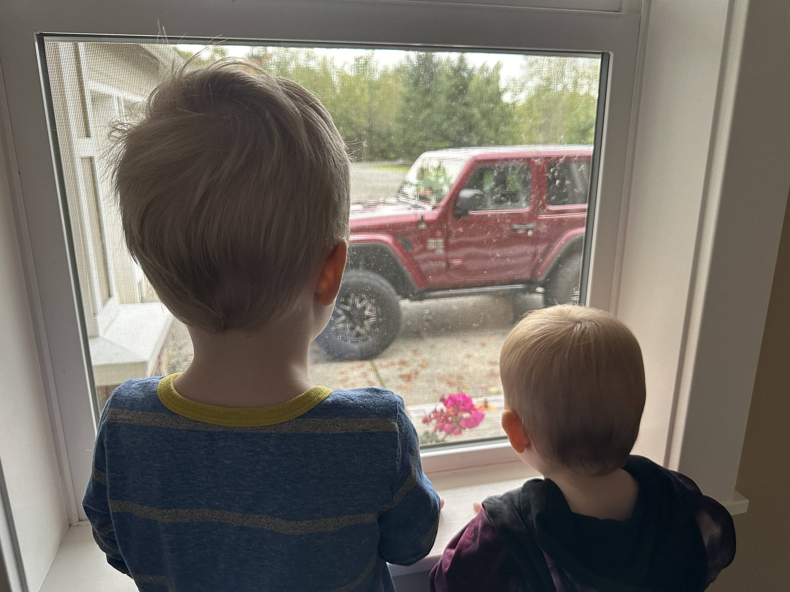 Jeep Wrangler JL Their favorite view IMG_1779