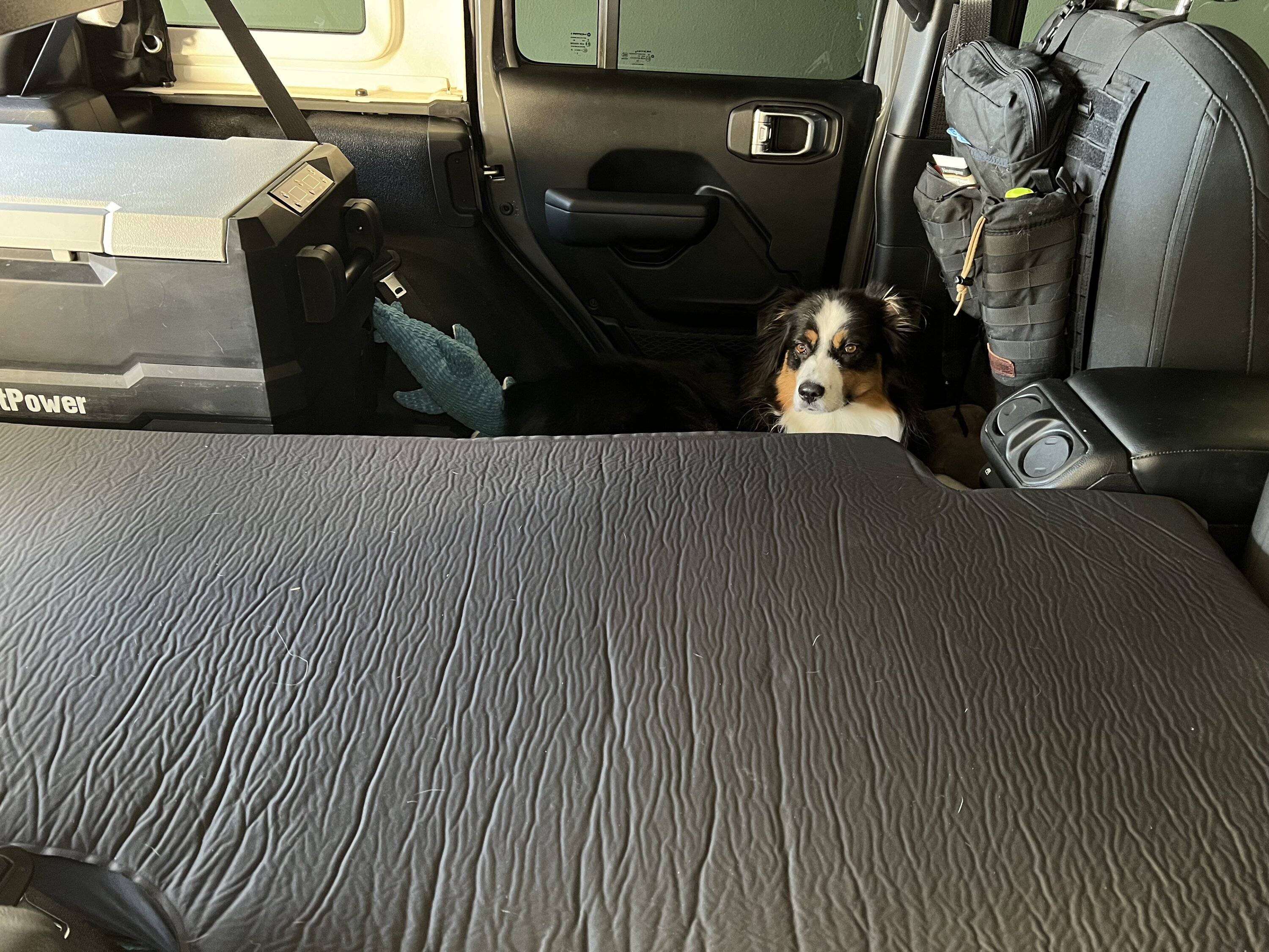 Jeep Wrangler JL Sleeping in the back IMG_1826