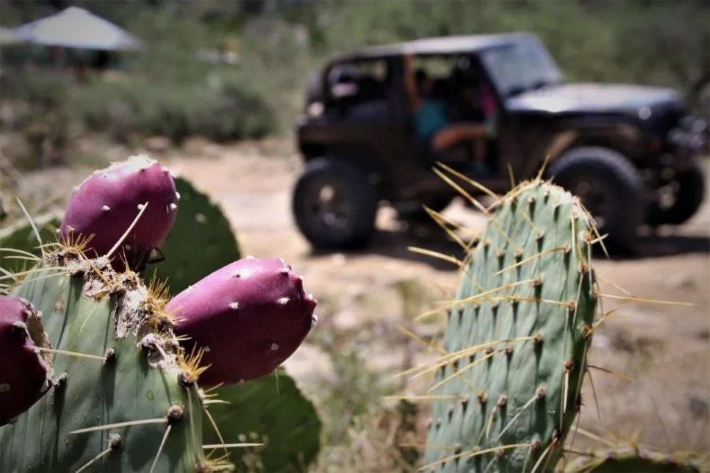 Jeep Wrangler JL Arizona Trail Run Thread Crown King 2018 8