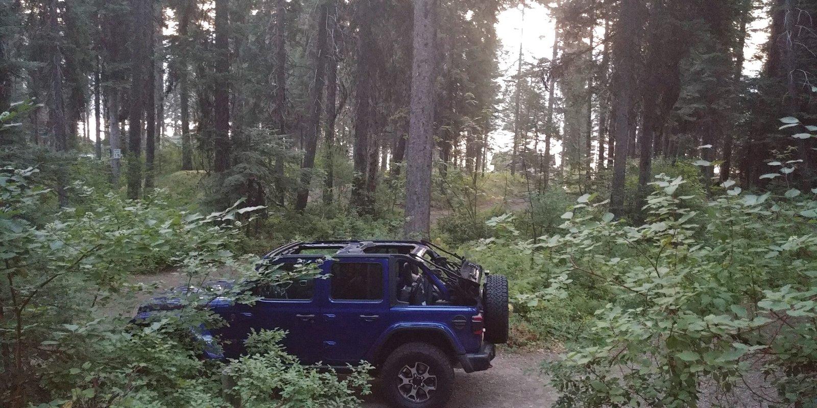 Jeep Wrangler JL Anyone try the Soft Window Storage Bag? 10015