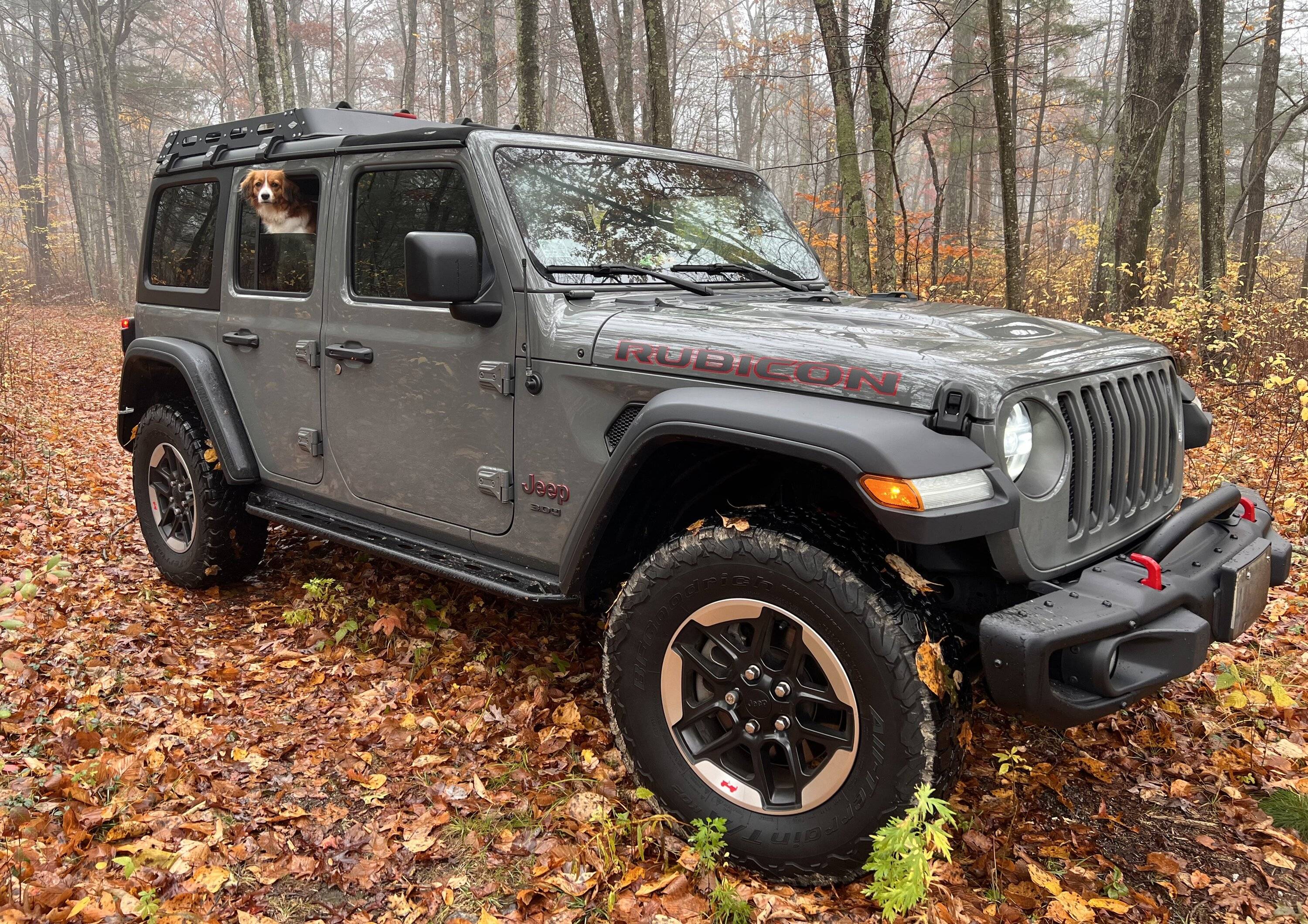 Jeep Wrangler JL Jeep Dog pics IMG_1841
