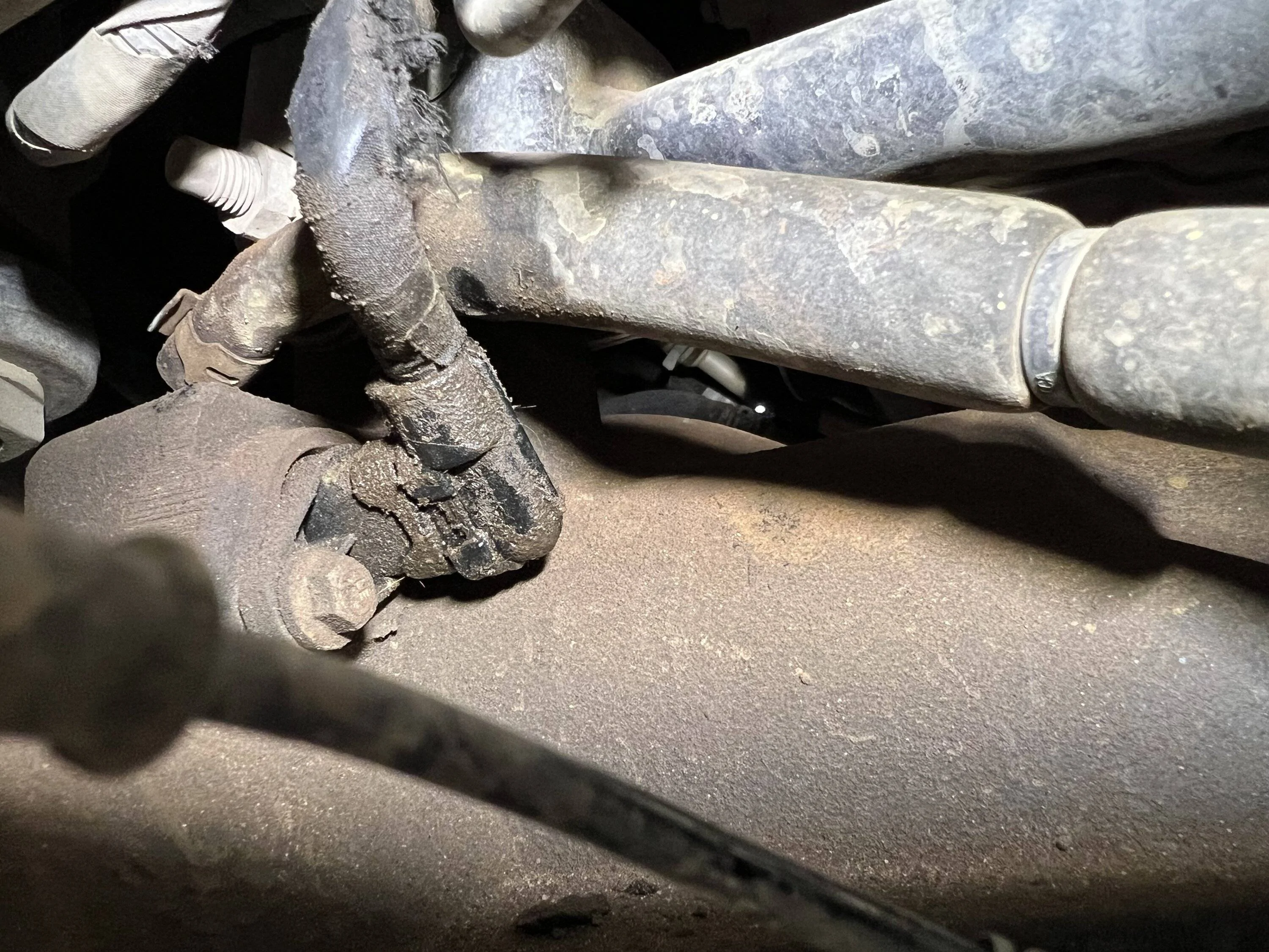 Jeep Wrangler JL LEAK from Axle Differential Locker Sensor Seal IMG_4297