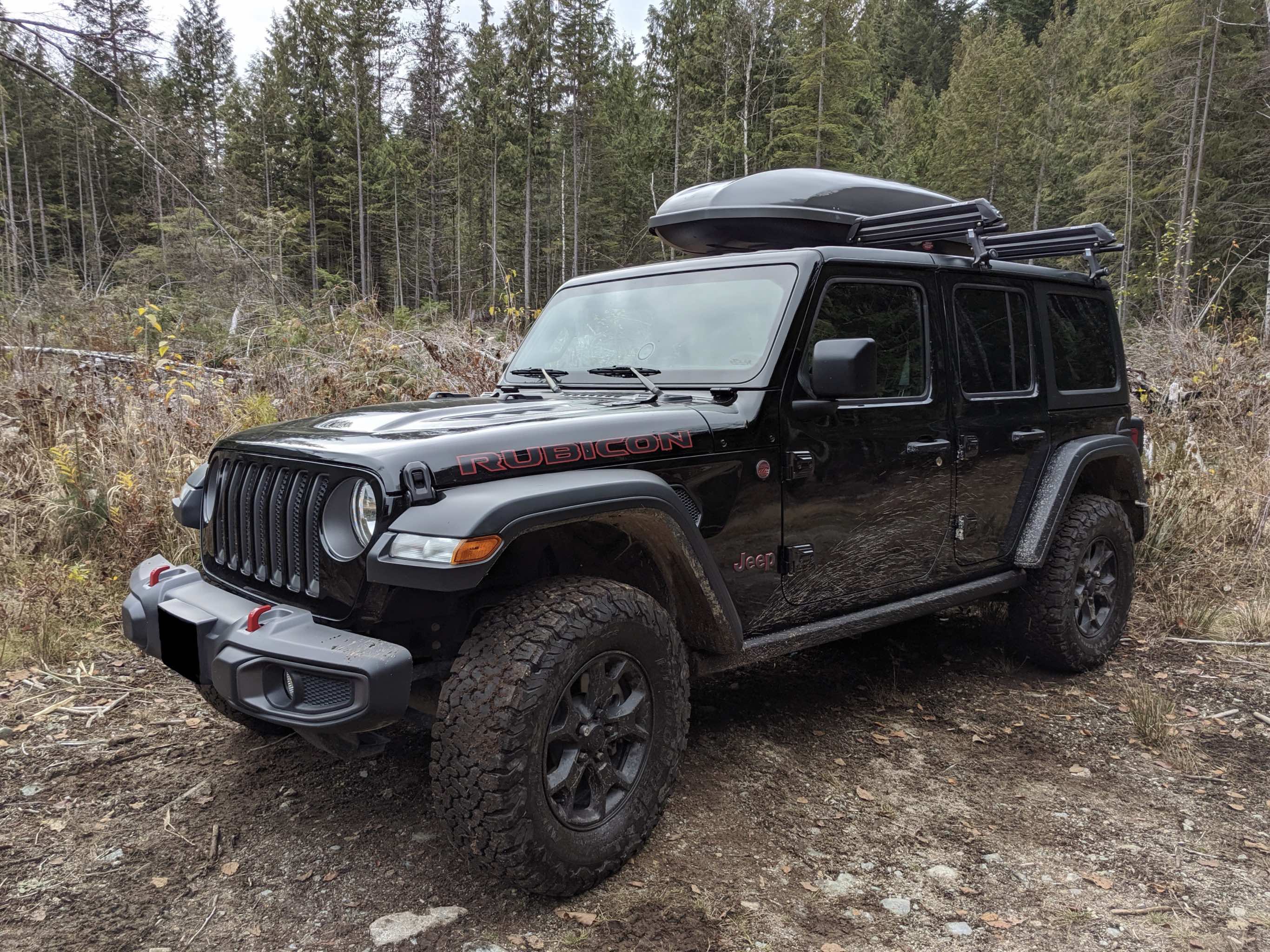 Jeep Wrangler JL Bubbles in Paint at Door Hinges 2DA06CDA-84B2-46E2-BDC9-DCC6EF6FBFC0