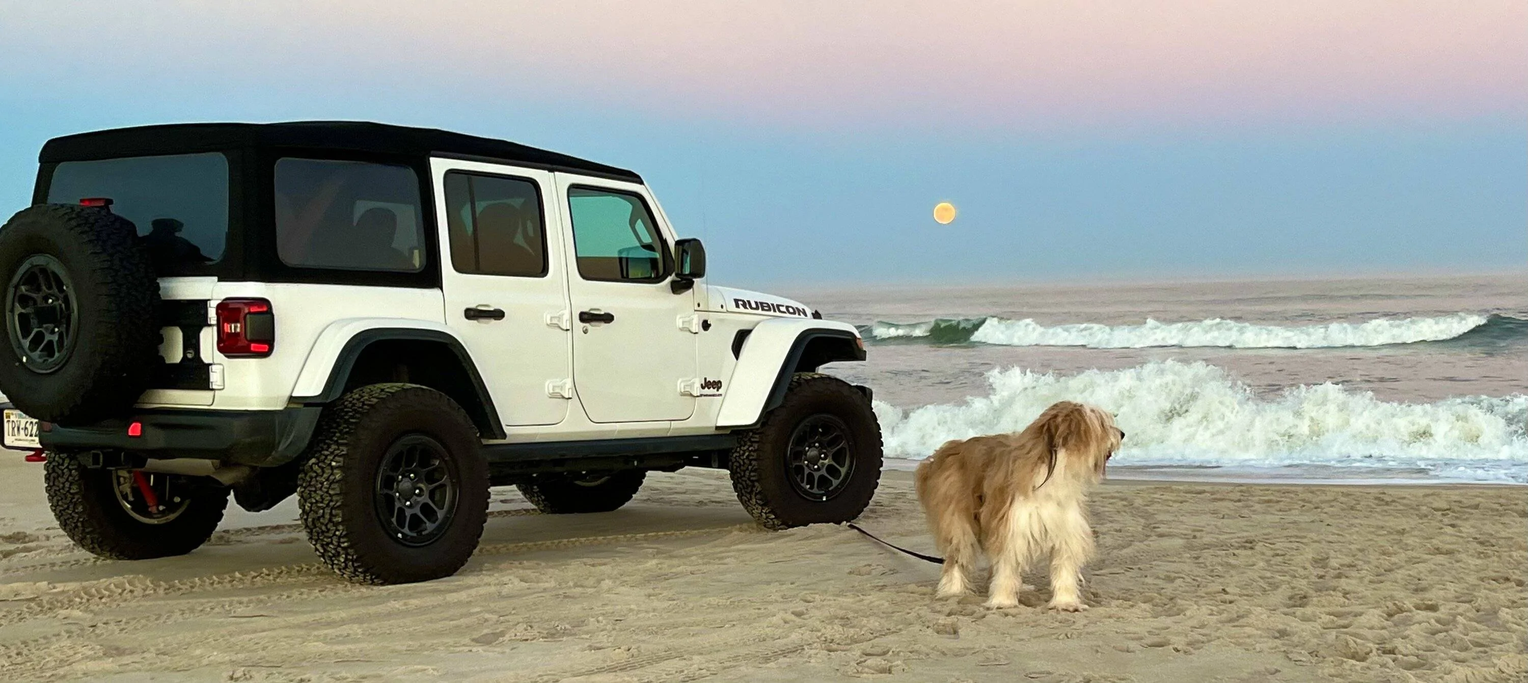 Jeep Wrangler JL Jeep Dog pics F012A2C5-D0A1-4390-B46D-6458209E9A74