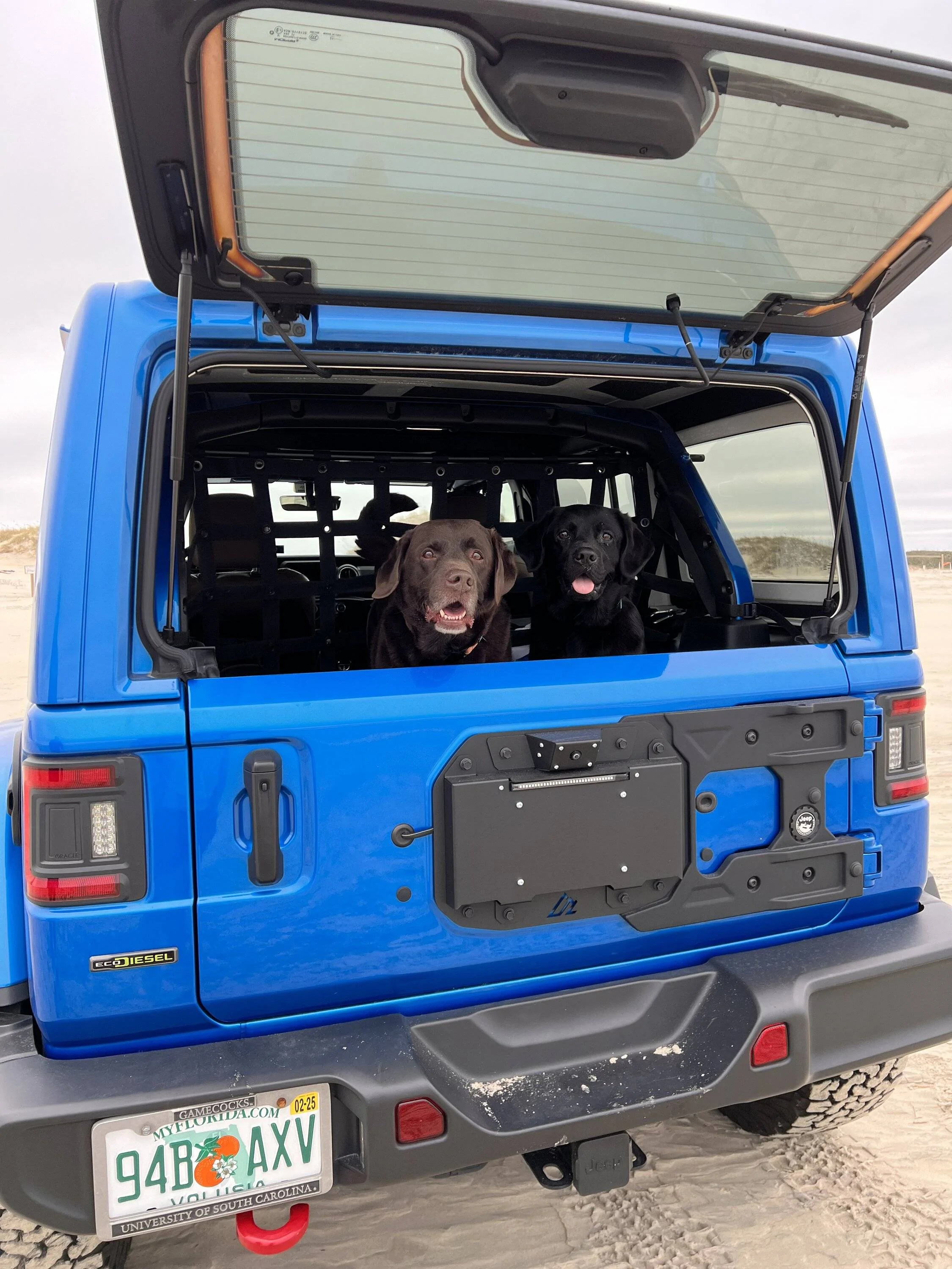 Jeep Wrangler JL Jeep Dog pics IMG_1847