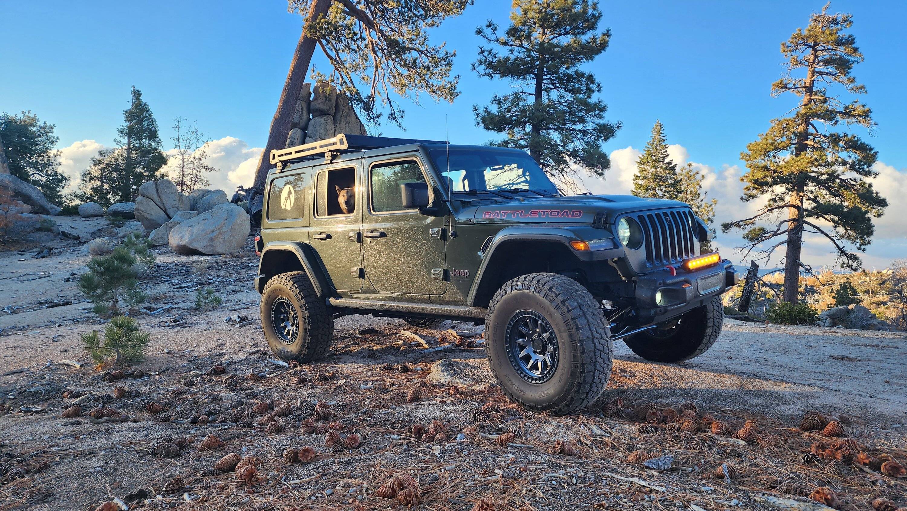 New Mickey Thompson Baja Legend EXP Tires - feedback reviews