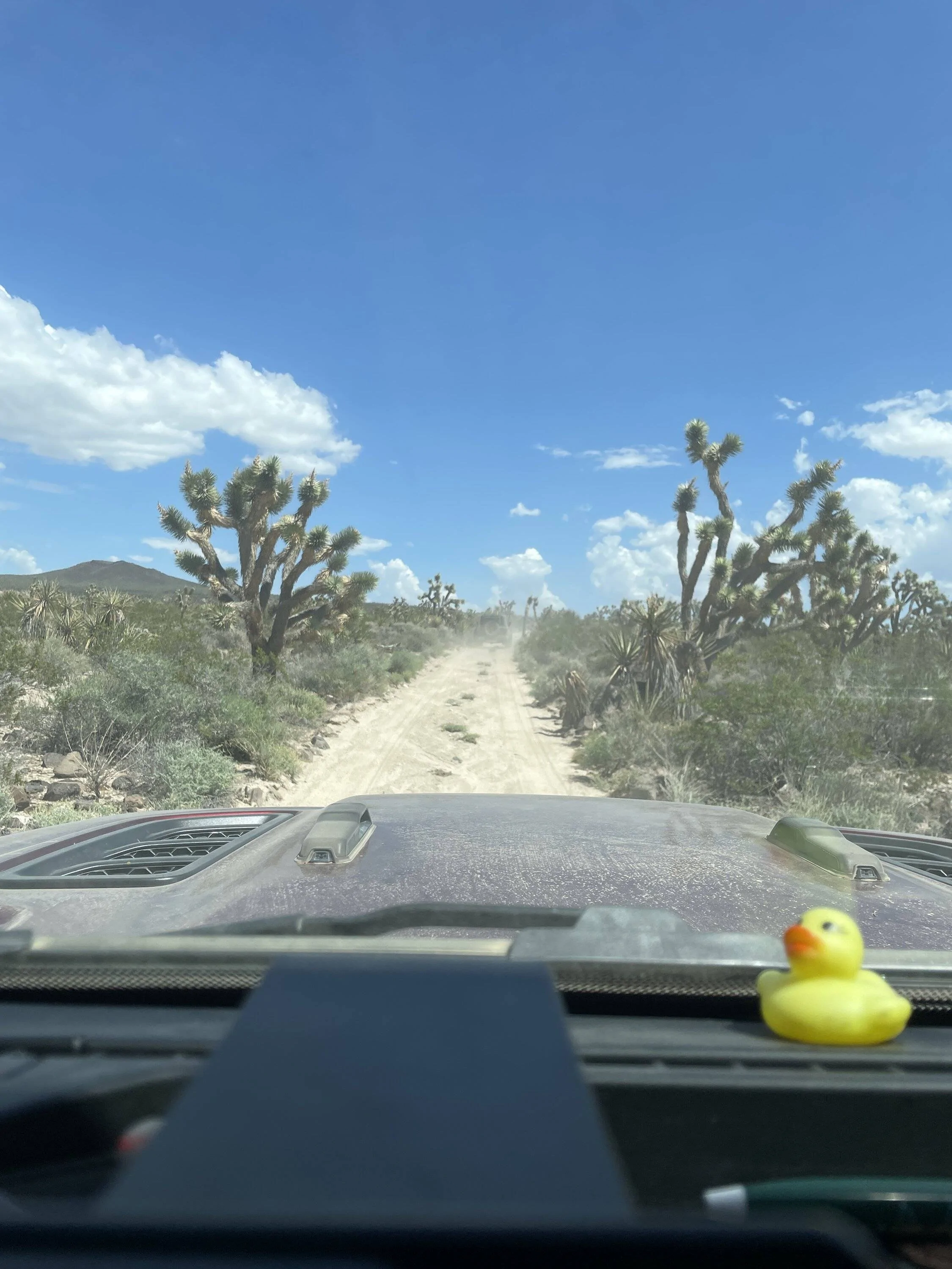 Jeep Wrangler JL Mojave Trail? (before it gets hot again) IMG_0931