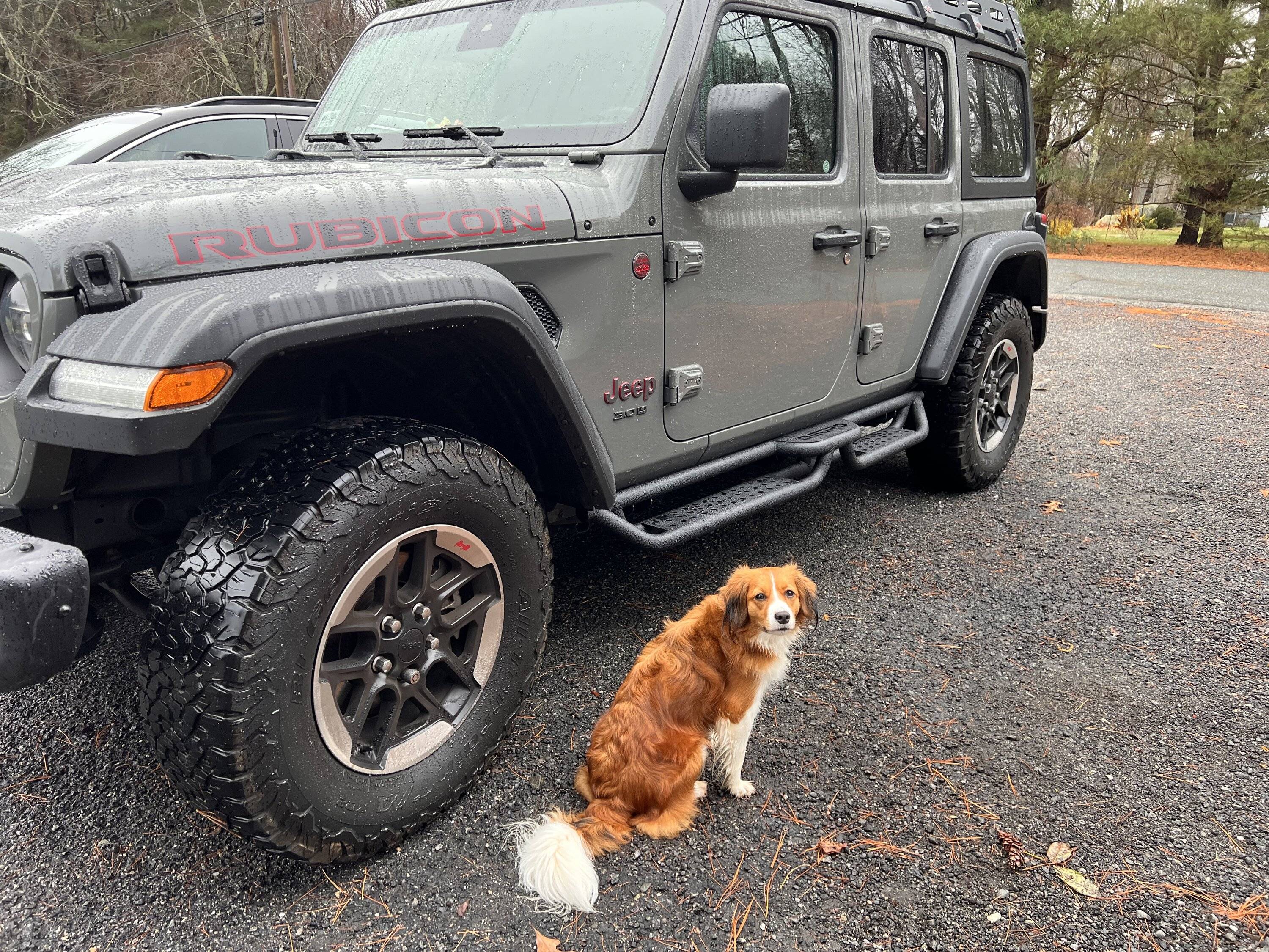 Jeep Wrangler JL Jeep Dog pics IMG_1931