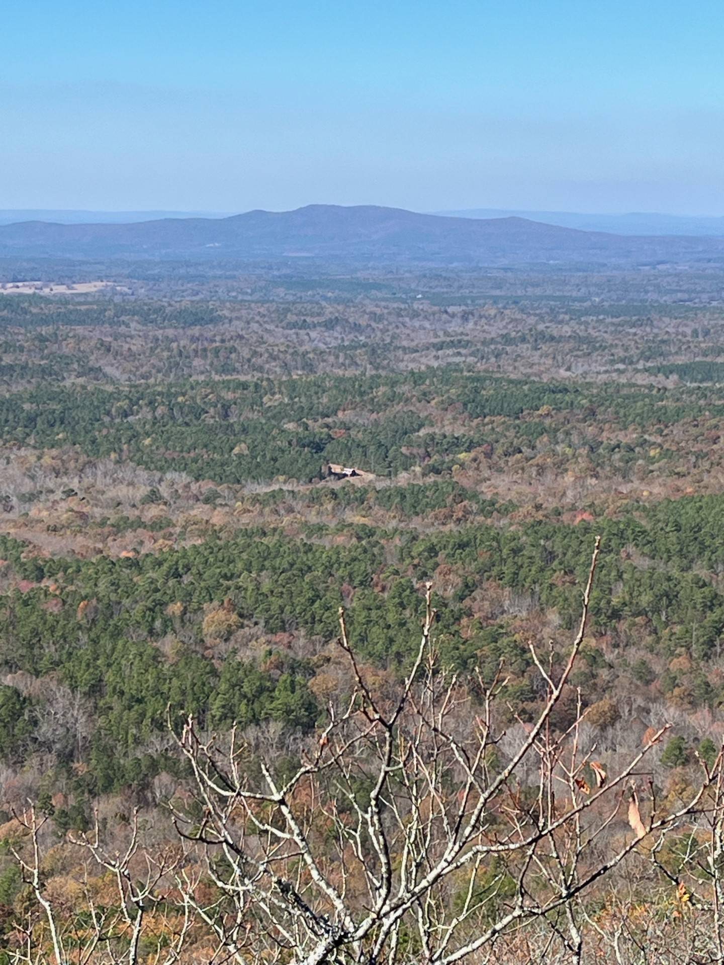 Jeep Wrangler JL First True Test of the 2024 Rubicon X at Talladega National Forest 11/18 jeep5