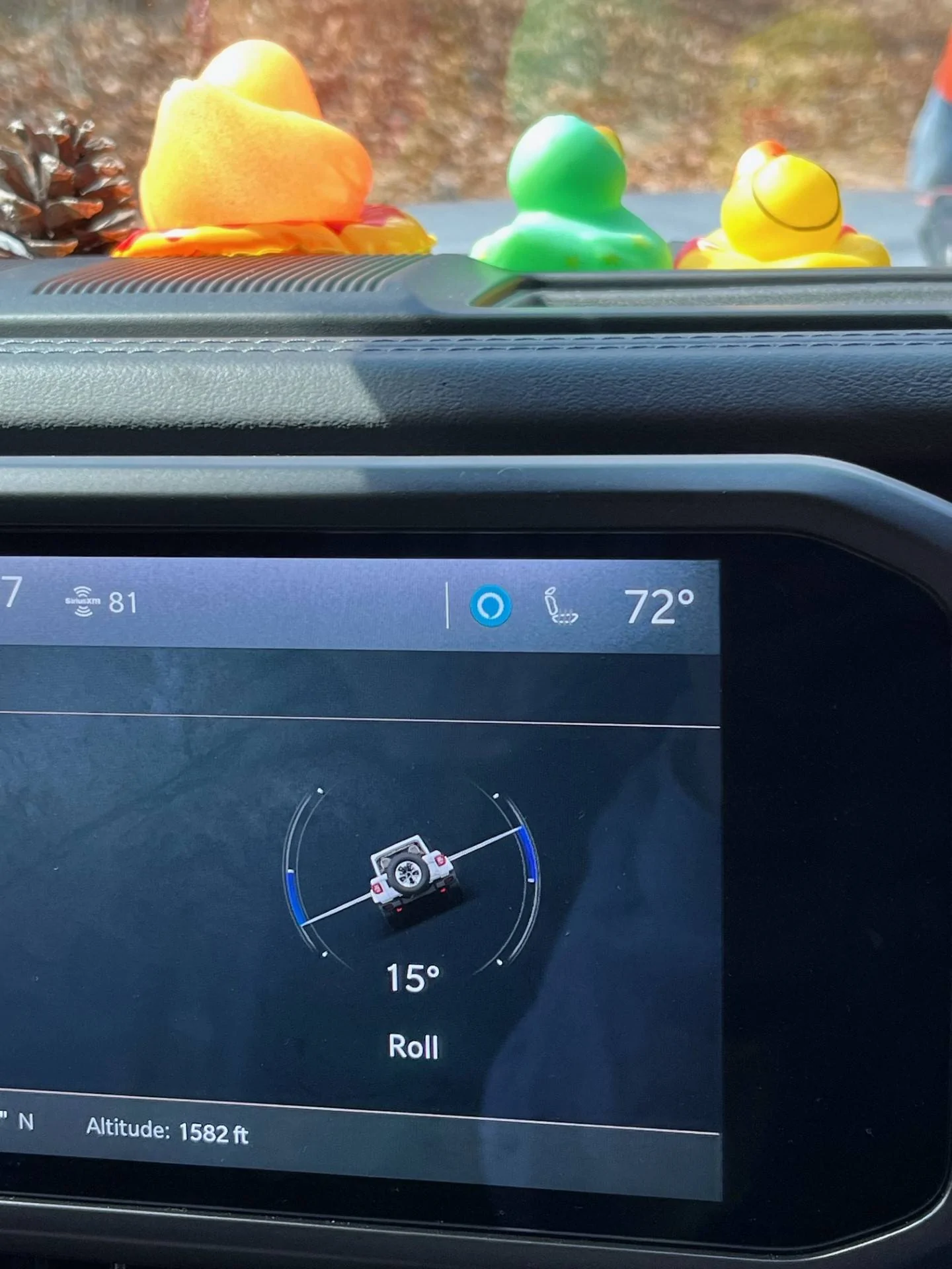 Jeep Wrangler JL First True Test of the 2024 Rubicon X at Talladega National Forest 11/18 jeep6