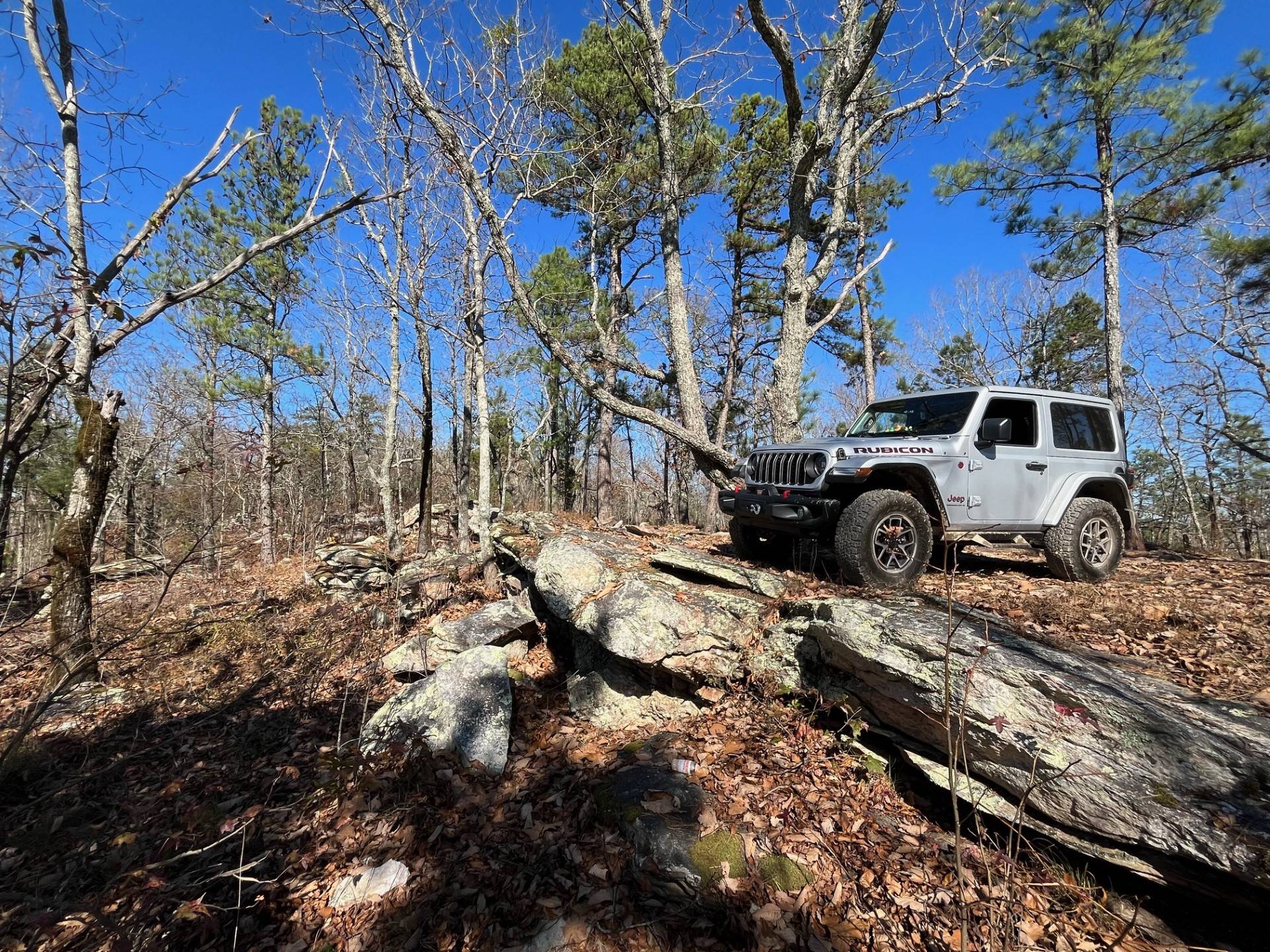 Jeep Wrangler JL First True Test of the 2024 Rubicon X at Talladega National Forest 11/18 jeep7