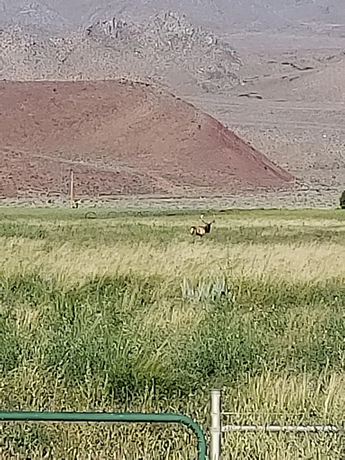 Jeep Wrangler JL Another trip down 20180827_075644